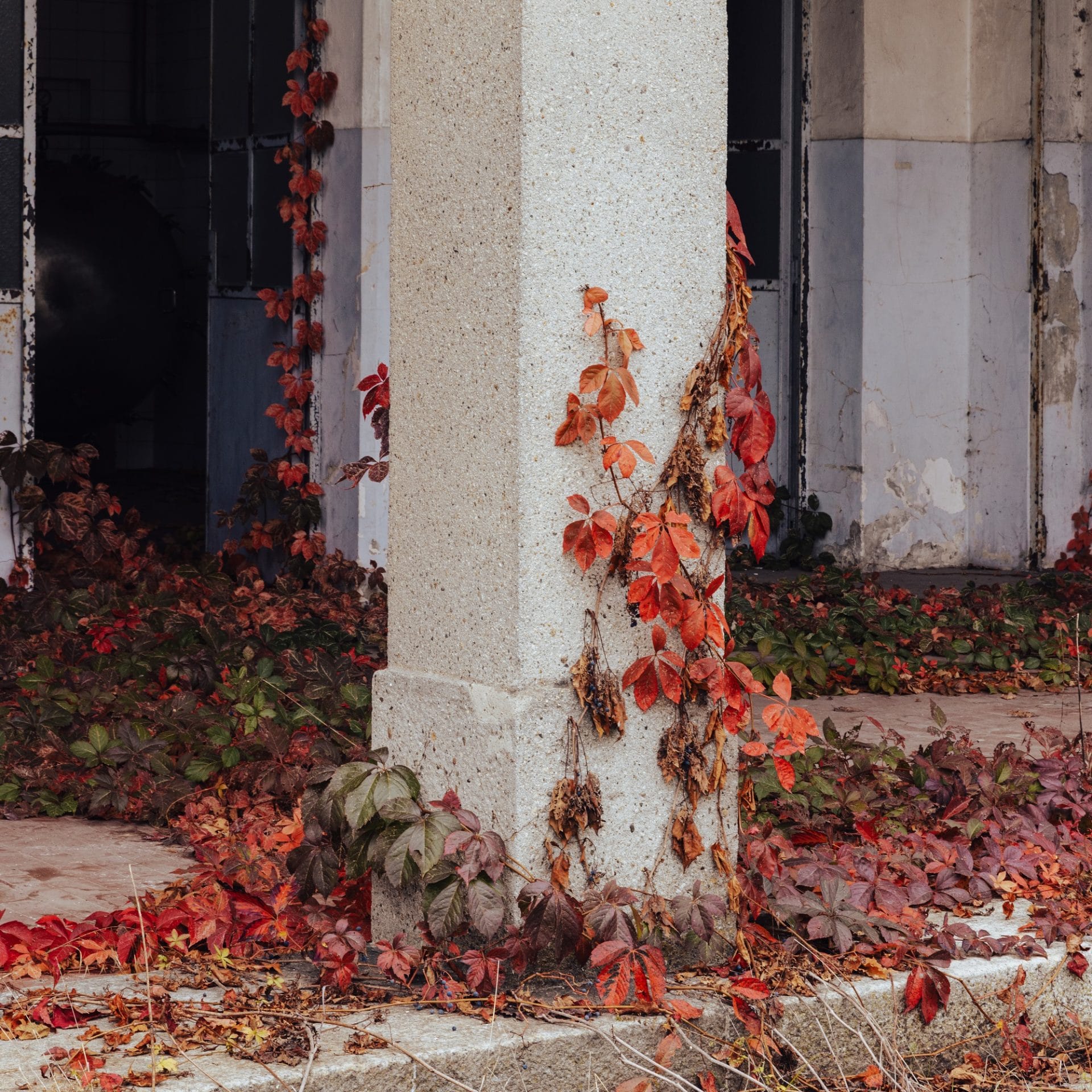 Inganni_alcova26_designalive-4