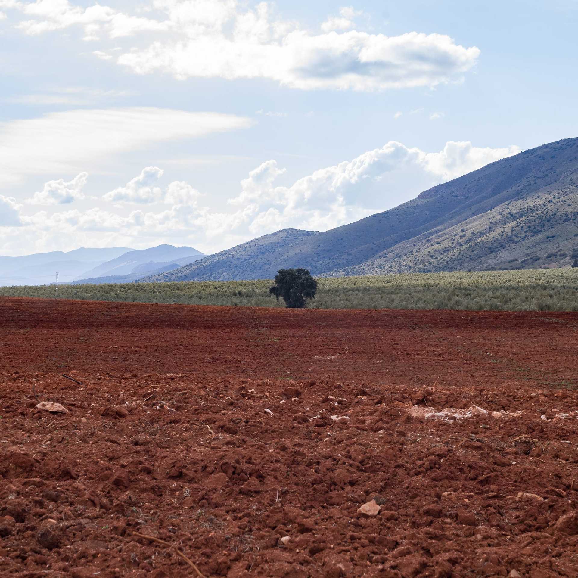 andaluzja_da53_designalive-10