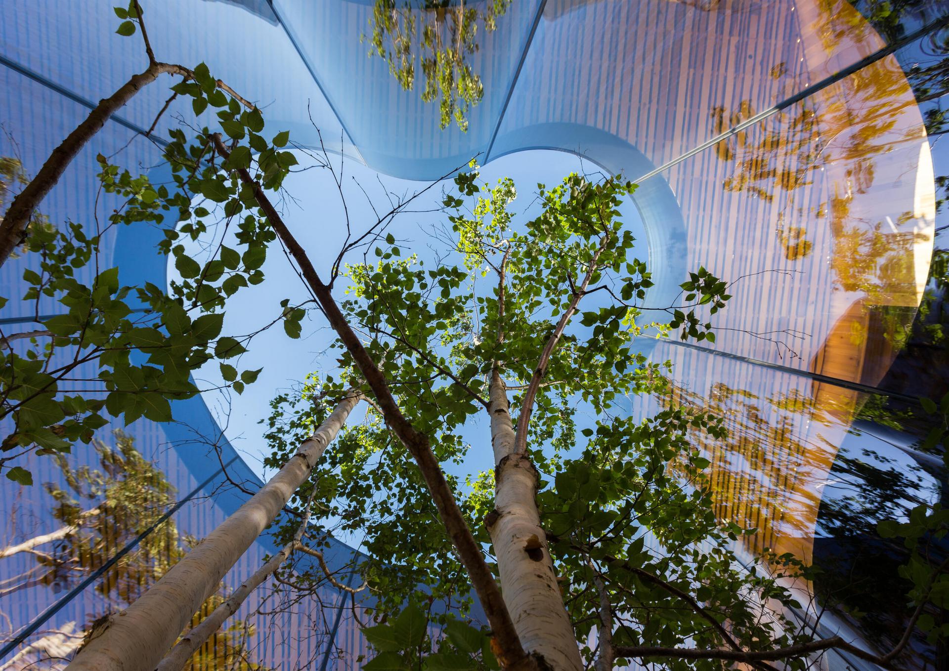 Alex_de_Rijke_architectural_photography_awards2021_designalive