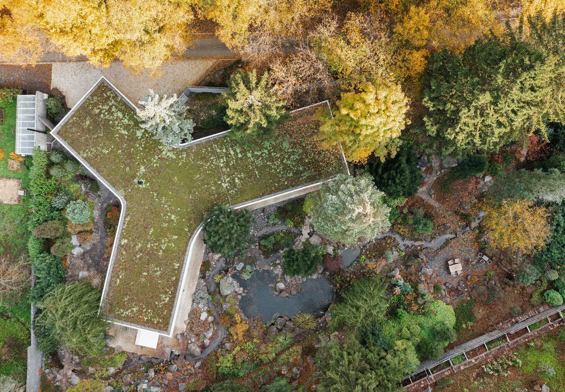 bananka-house-designalive-3 bananka-house-designalive-3
