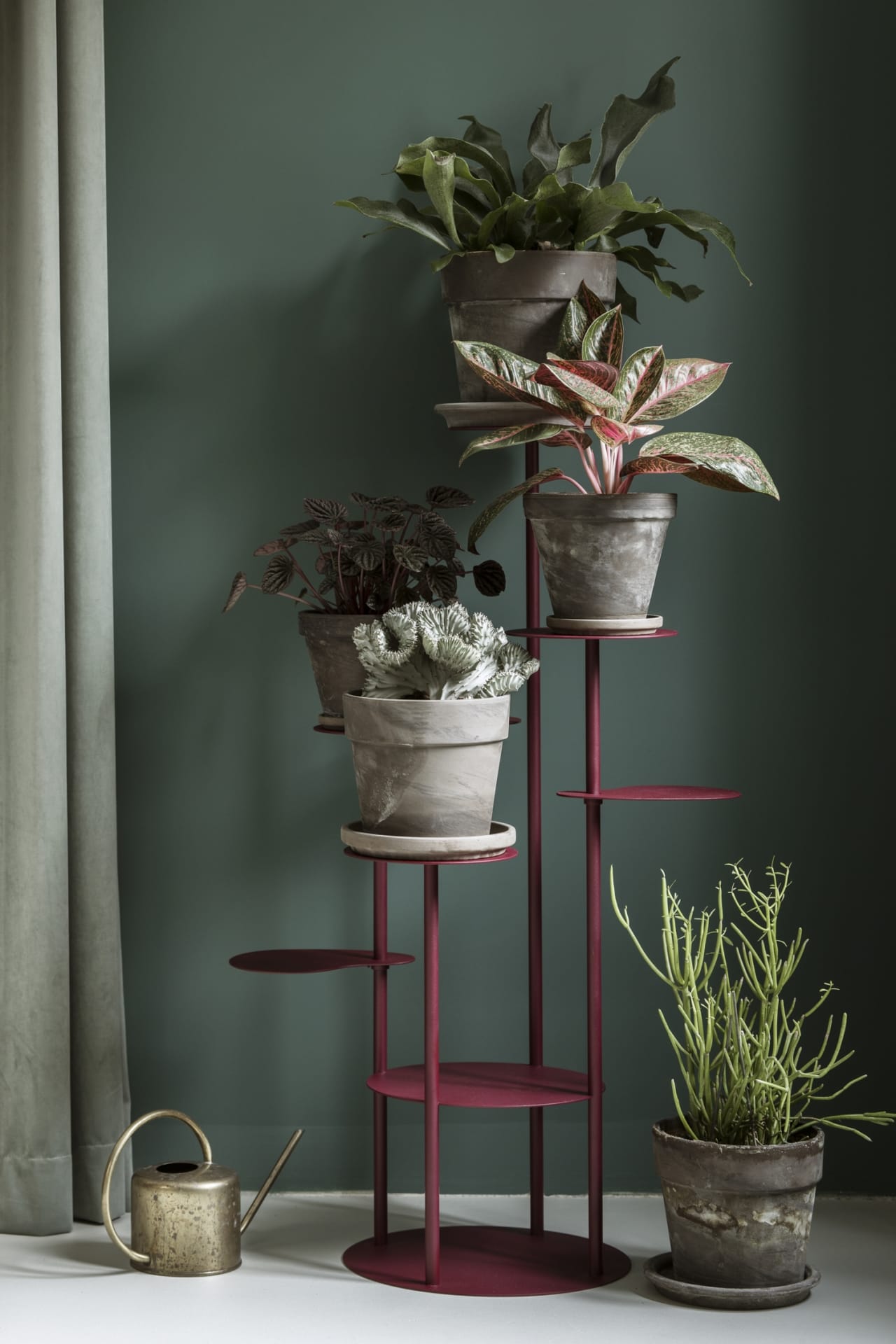 Bujnie_Tillo_Jassen_Hristov-designalive-10