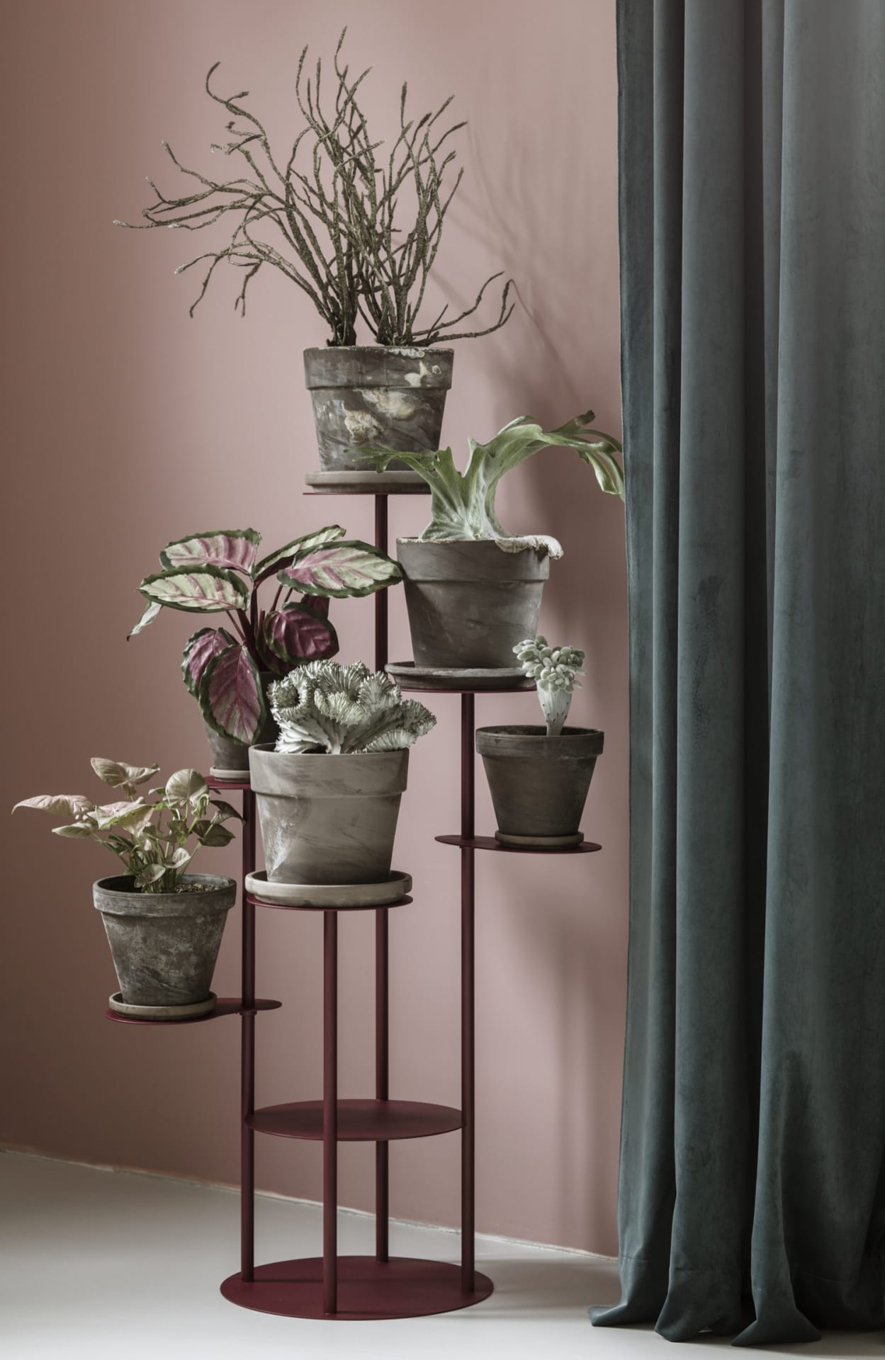 Bujnie_Tillo_Jassen_Hristov-designalive-11