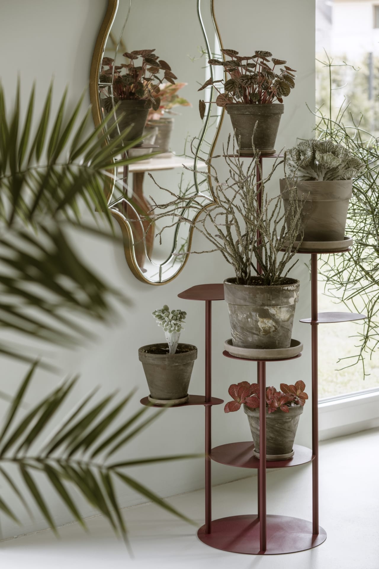 Bujnie_Tillo_Jassen_Hristov-designalive-7