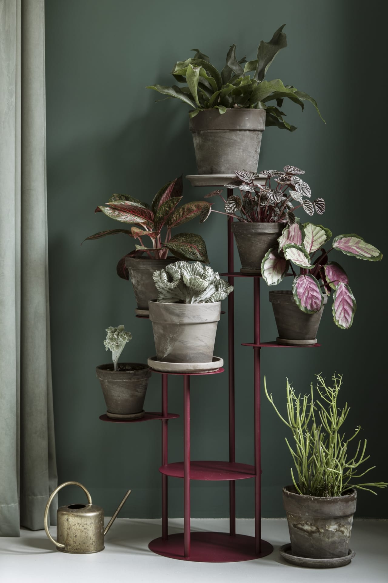 Bujnie_Tillo_Jassen_Hristov-designalive-8