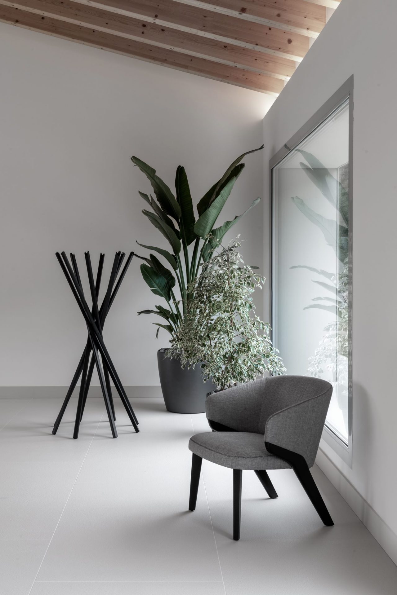 Ca-Gioia_designalive-9