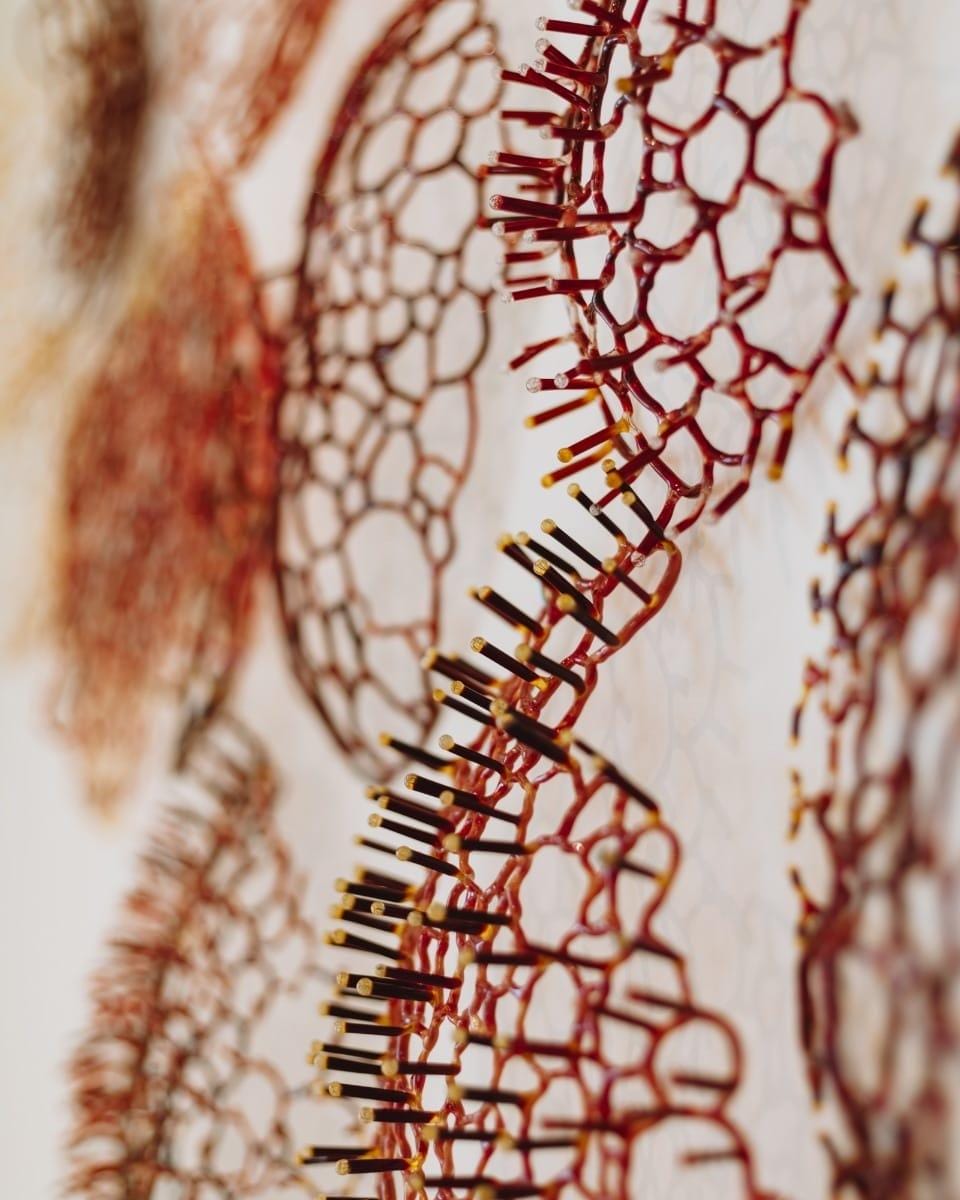 collect2026_designalive-1