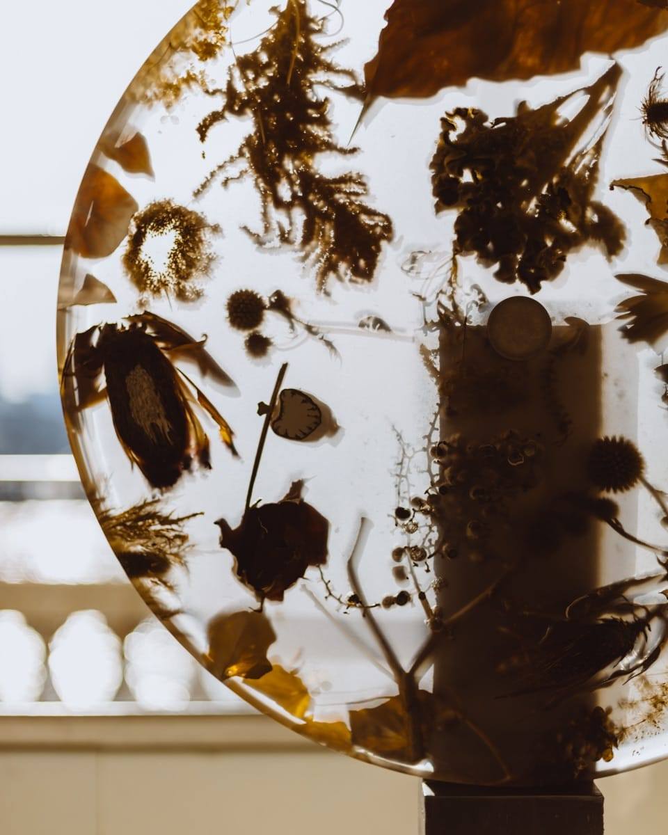 collect2026_designalive-6