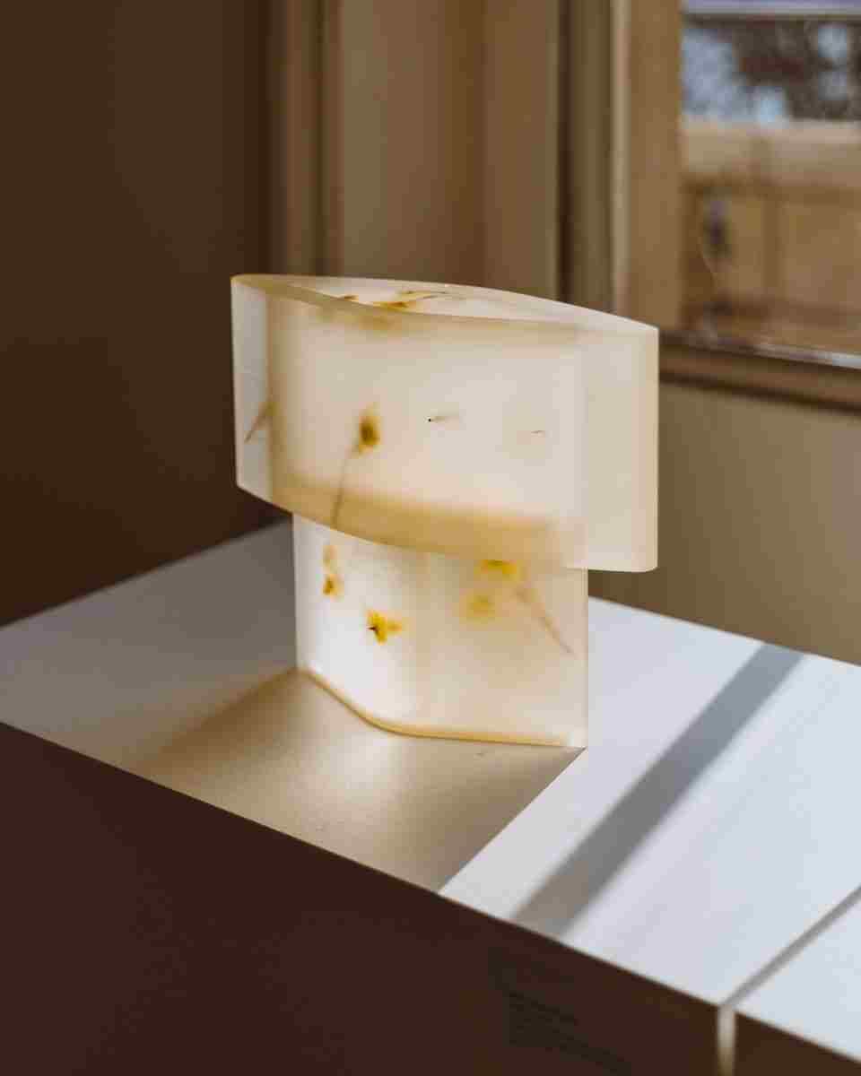 collect2026_designalive-8