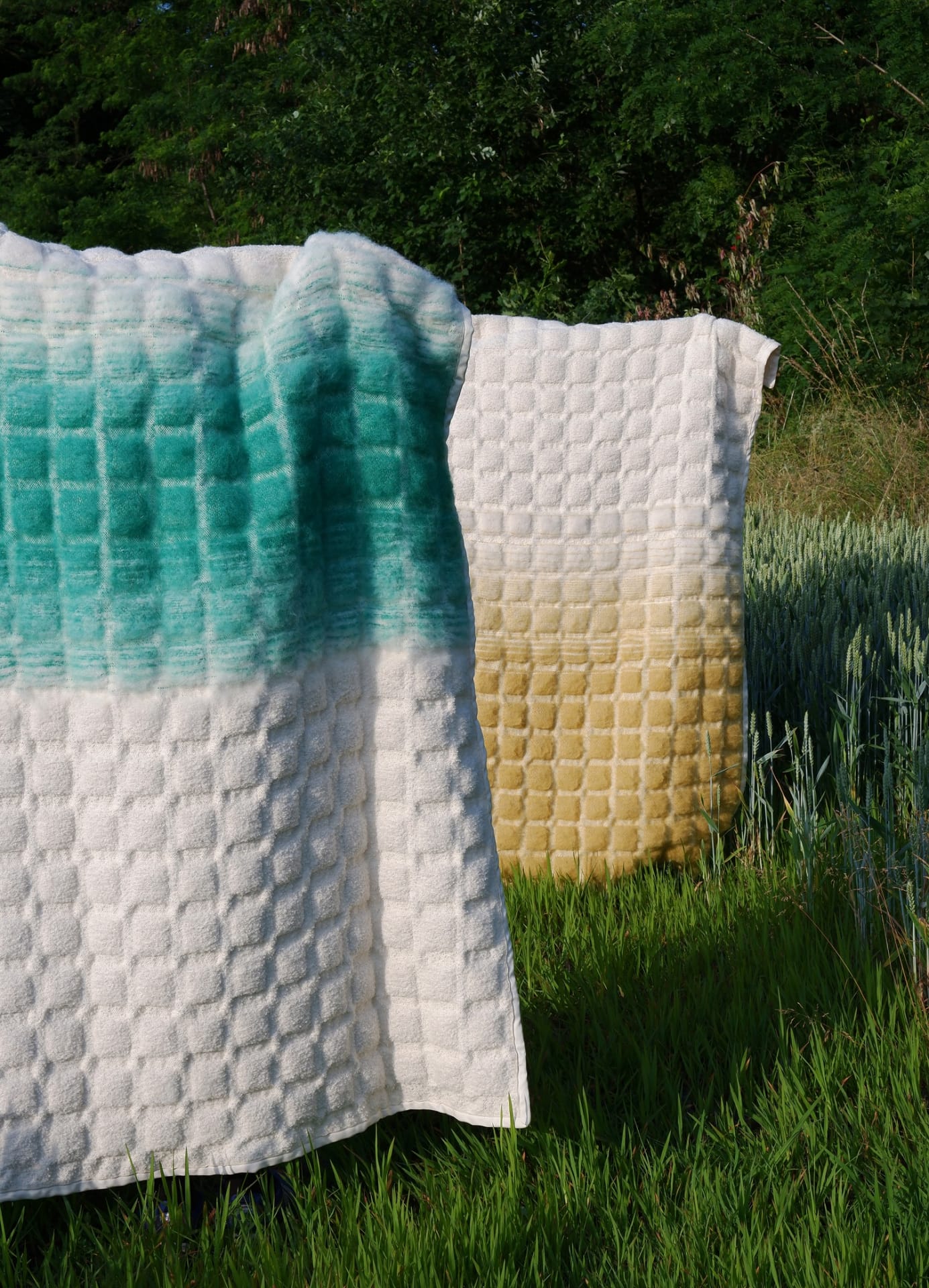 desa_home_today_designalive-14
