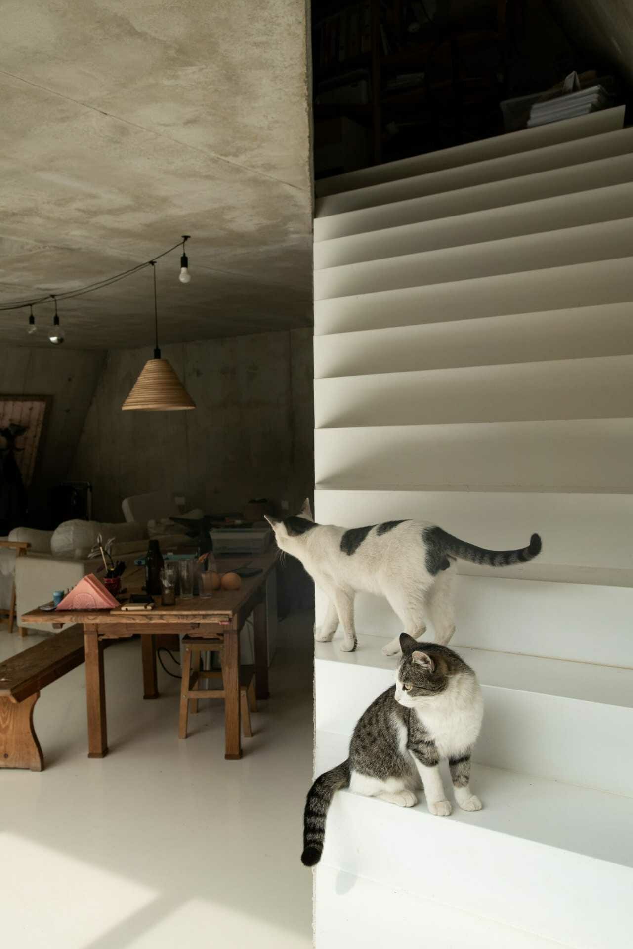 Slowacji_Ksa-Studeny_Design_alive_3