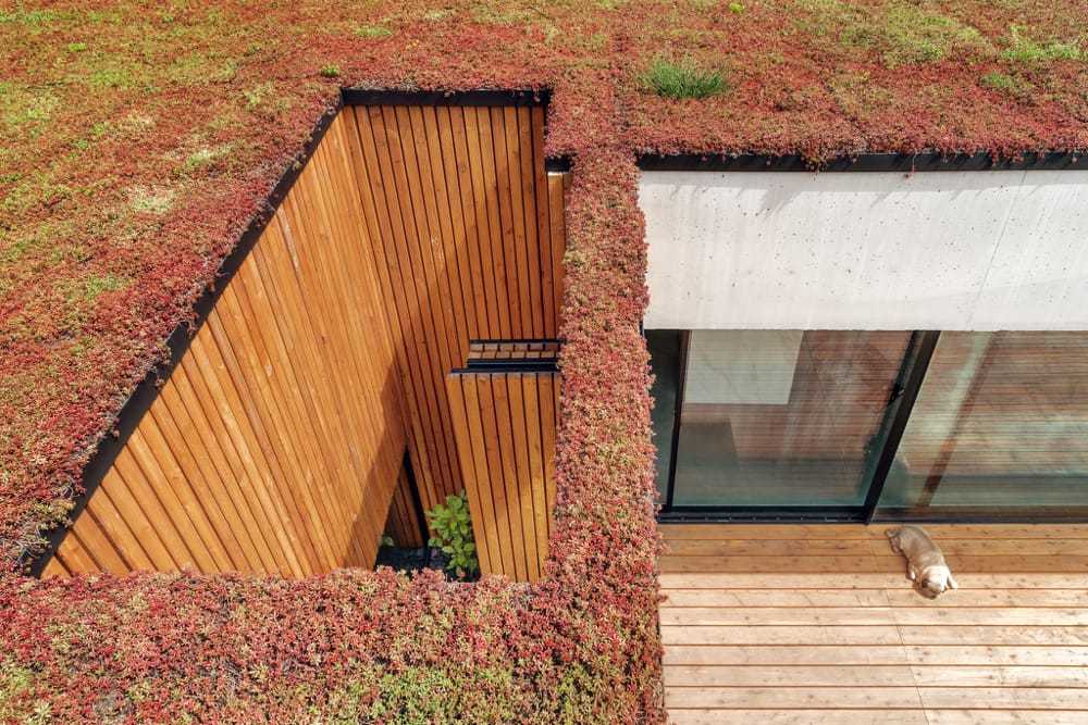 dom_jrv2_designalivemag-22