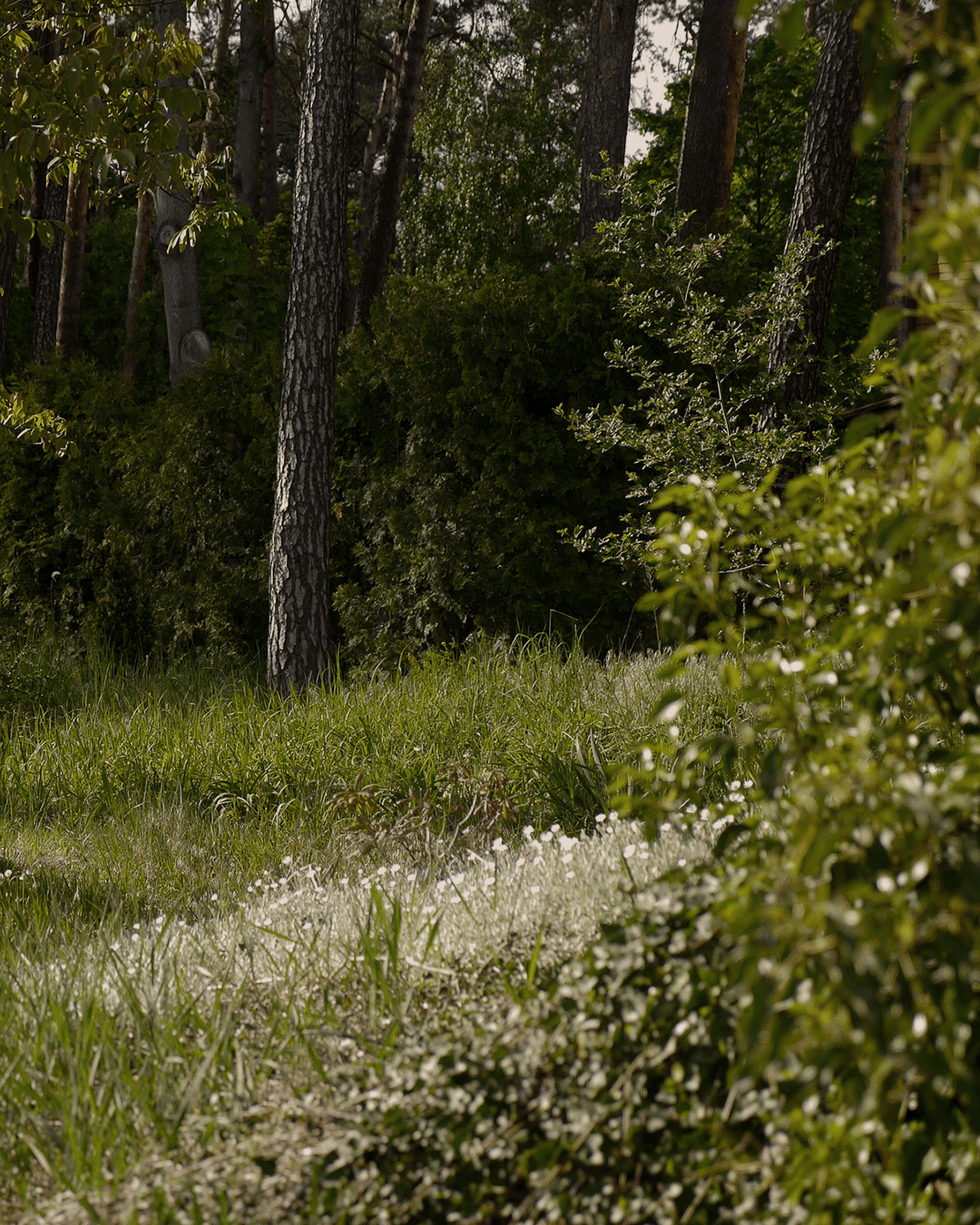 dombioklimatyczny_designalive-3