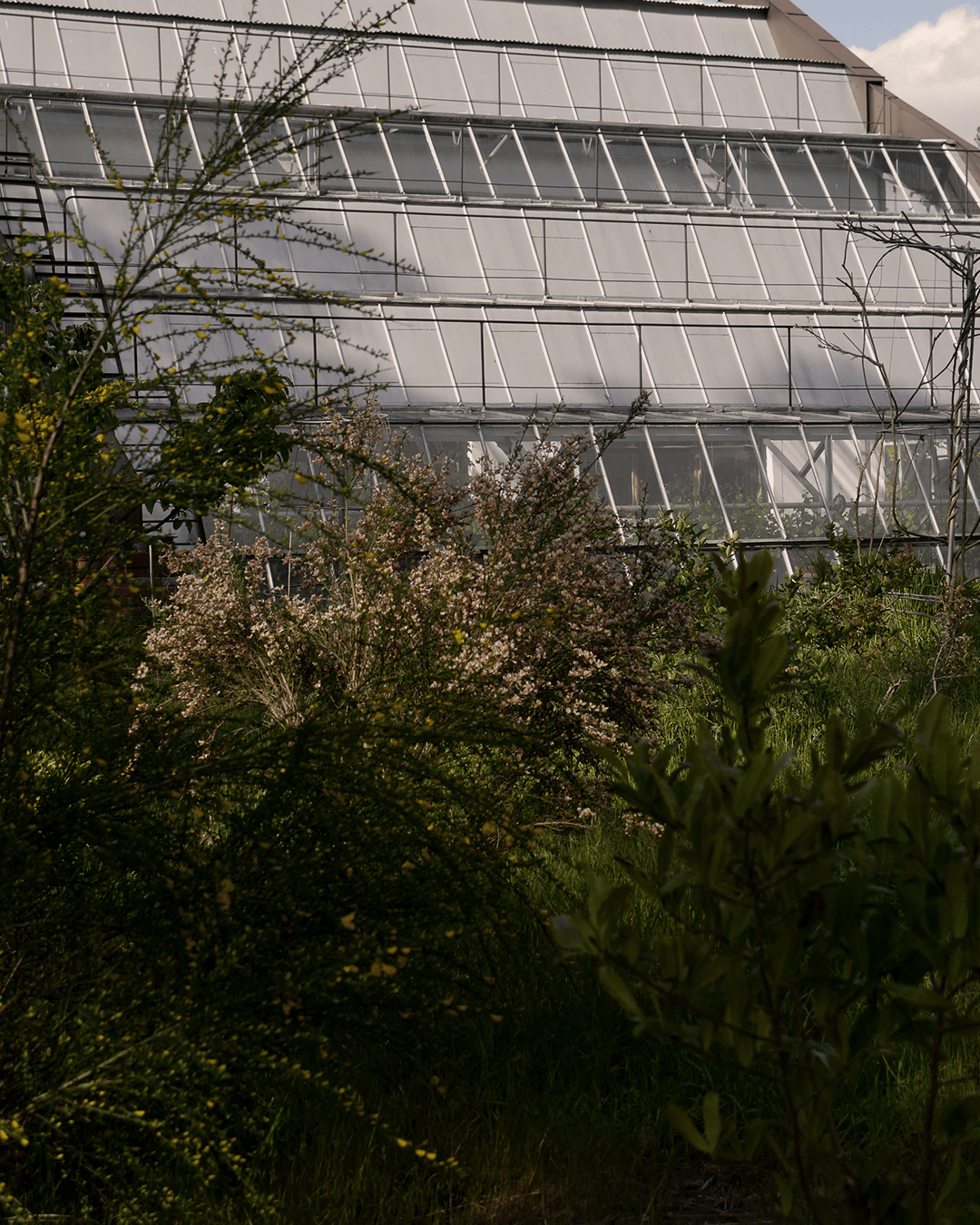 dombioklimatyczny_designalive-7