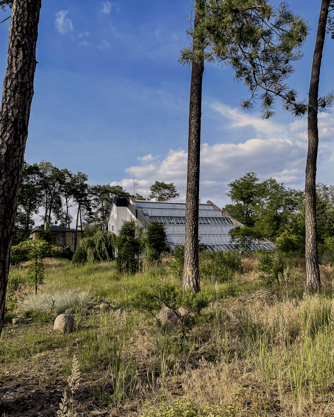 dombioklimatyczny_designalive-8