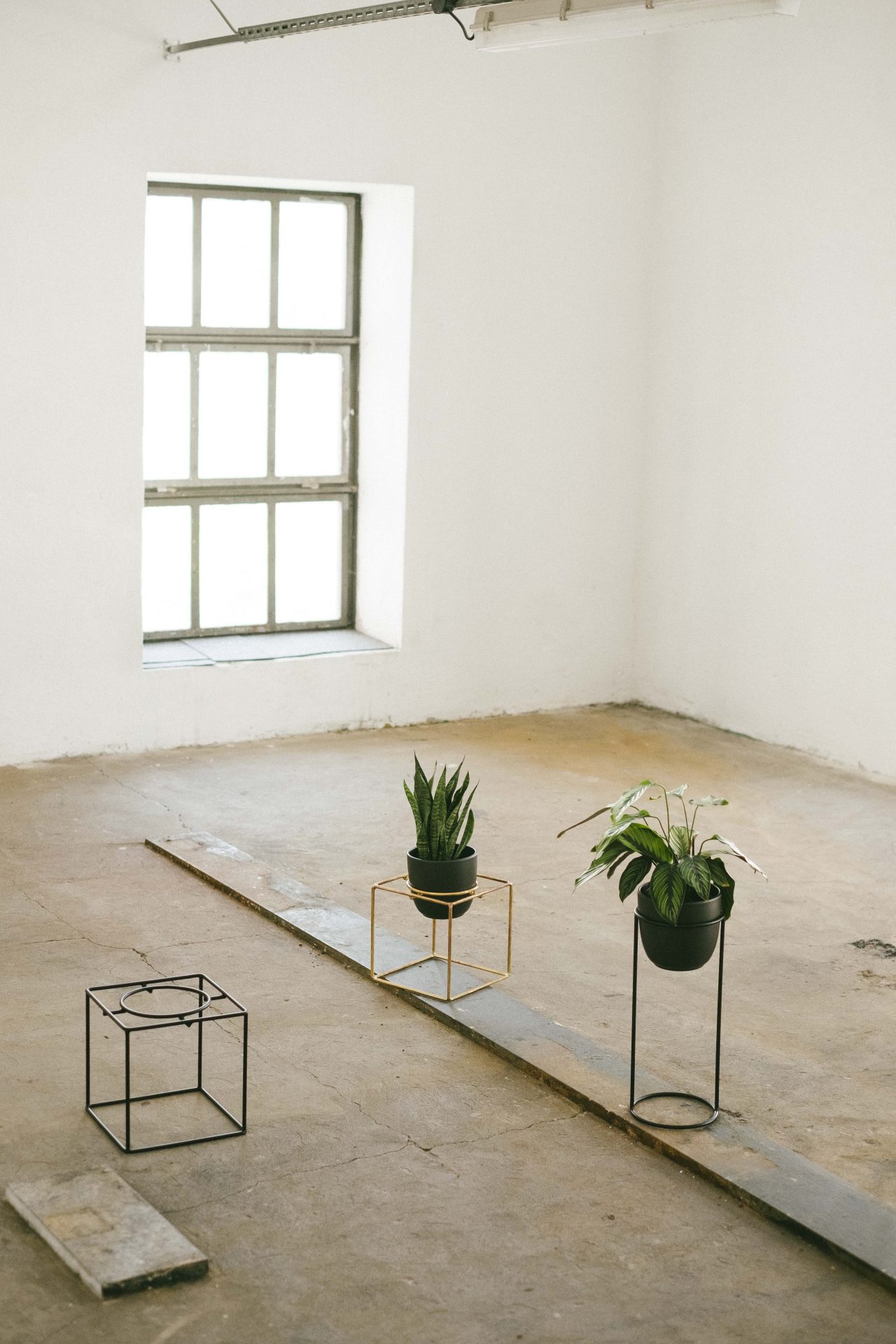 elementuj_designalive-2