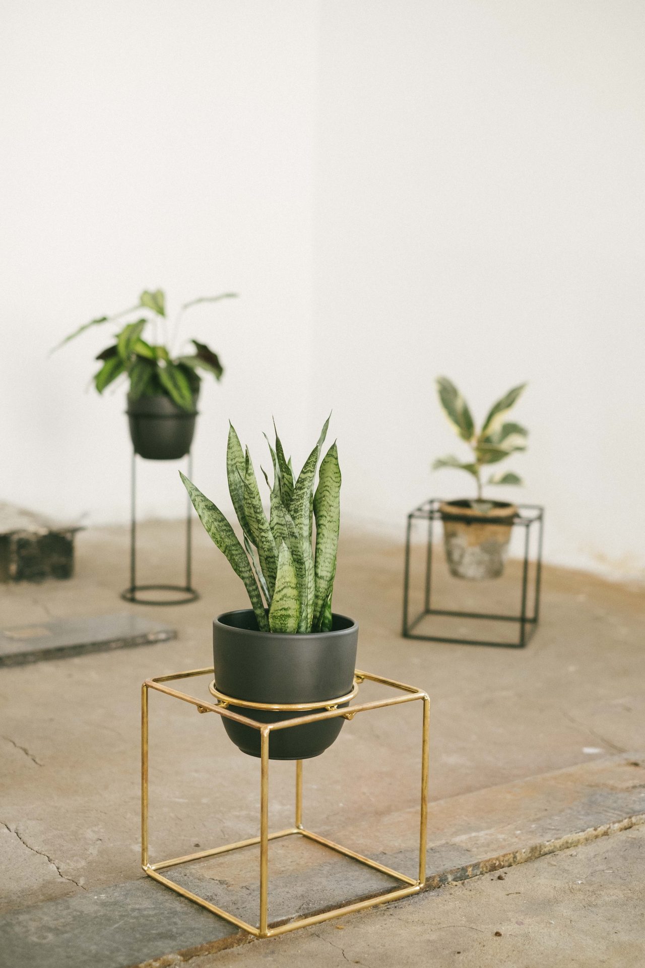 elementuj_designalive-3
