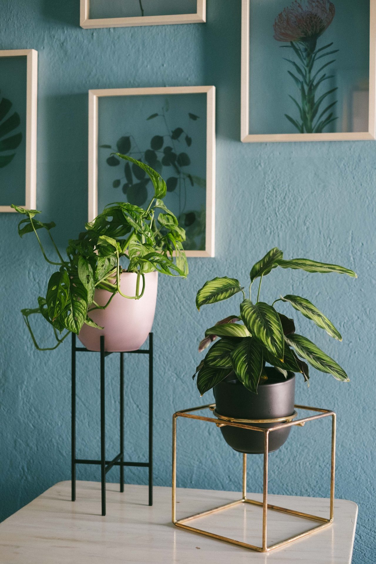 elementuj_designalive-4