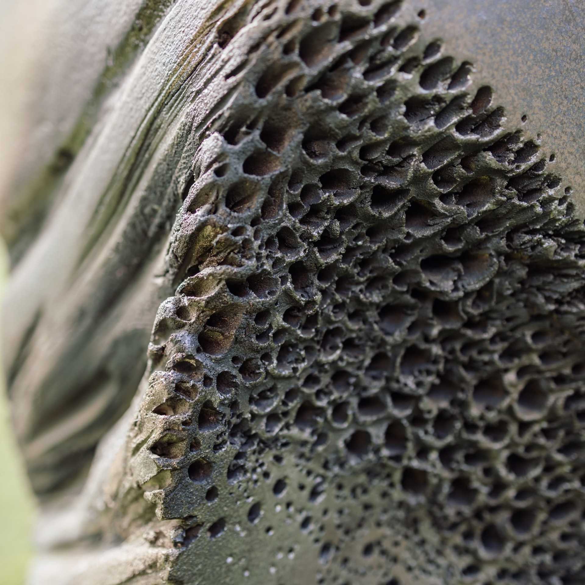 fine_art_da53_designalive-8