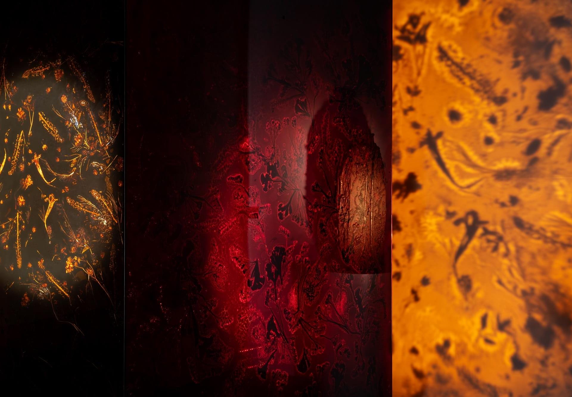 forum_florum_designalive-15