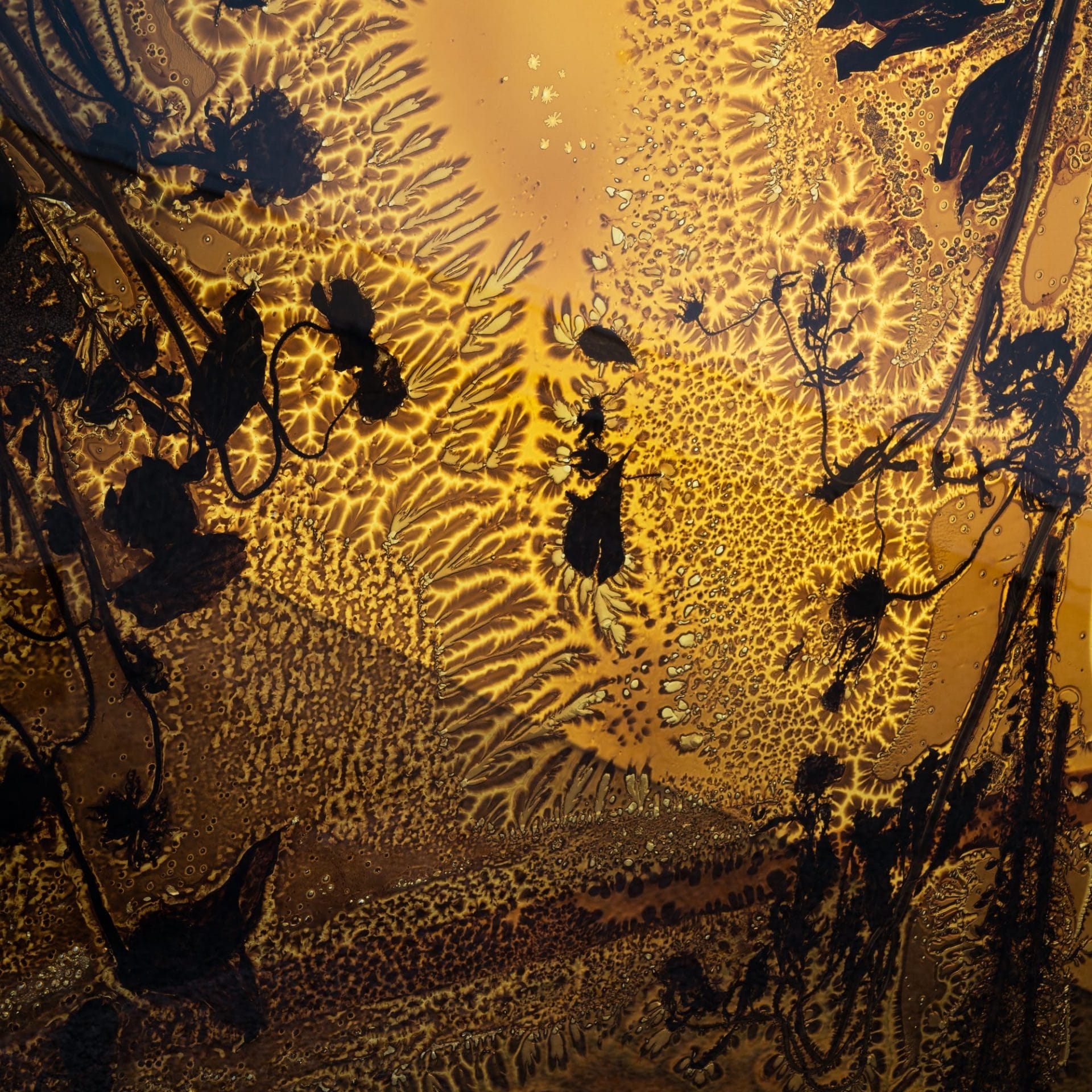 forum_florum_designalive-5