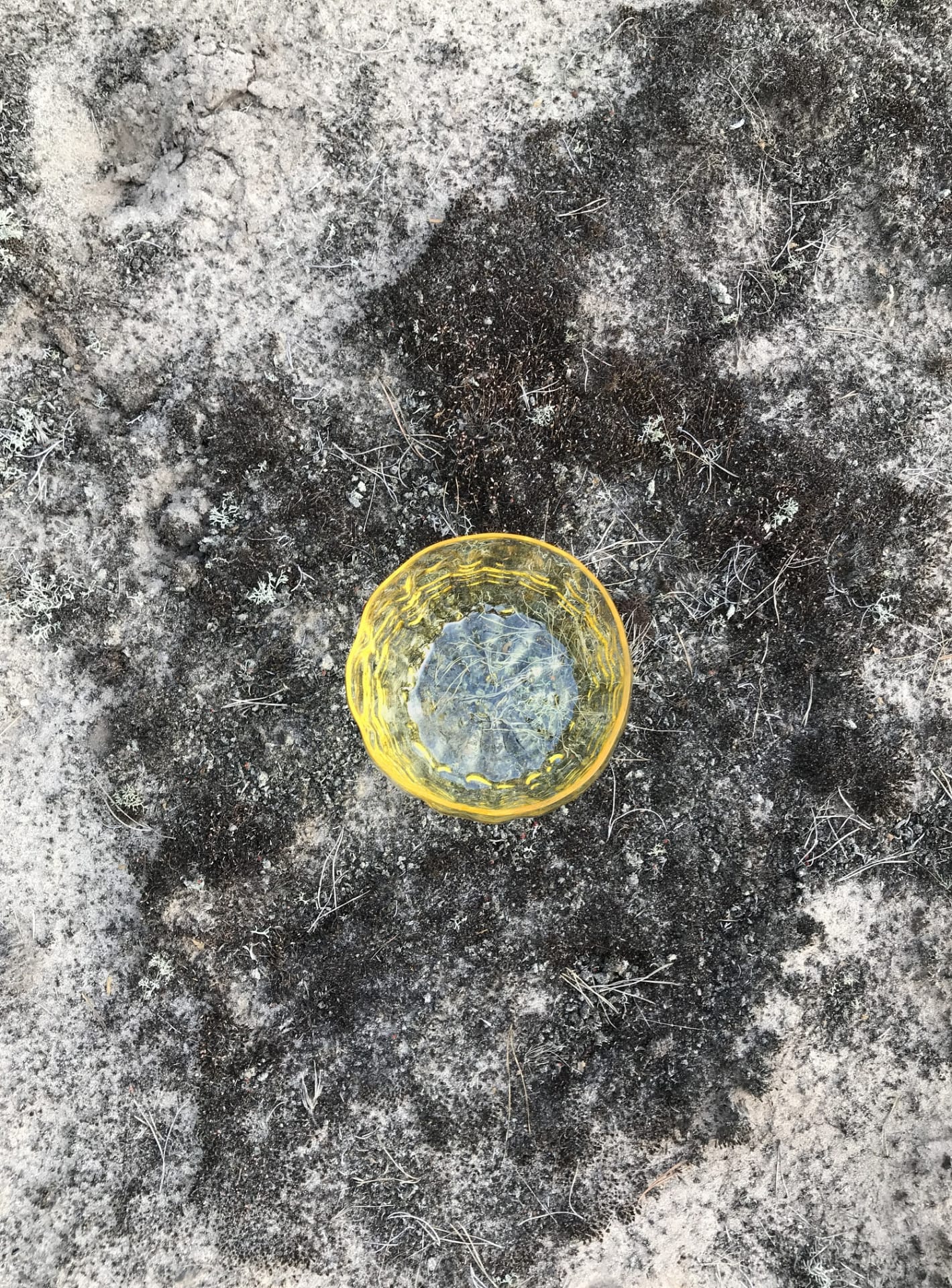 glass_week_2022_designalive-1