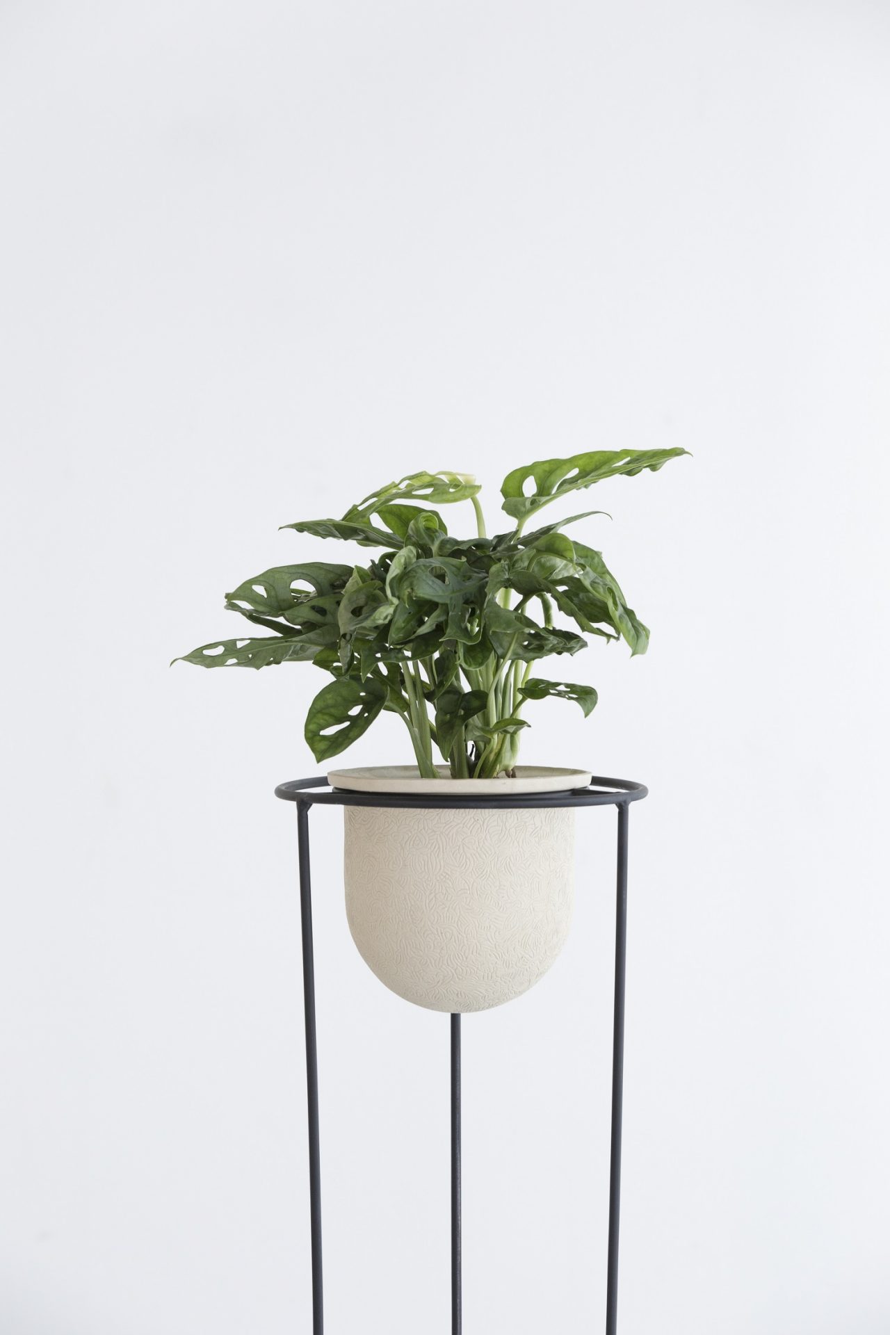 glena_designalive3-1