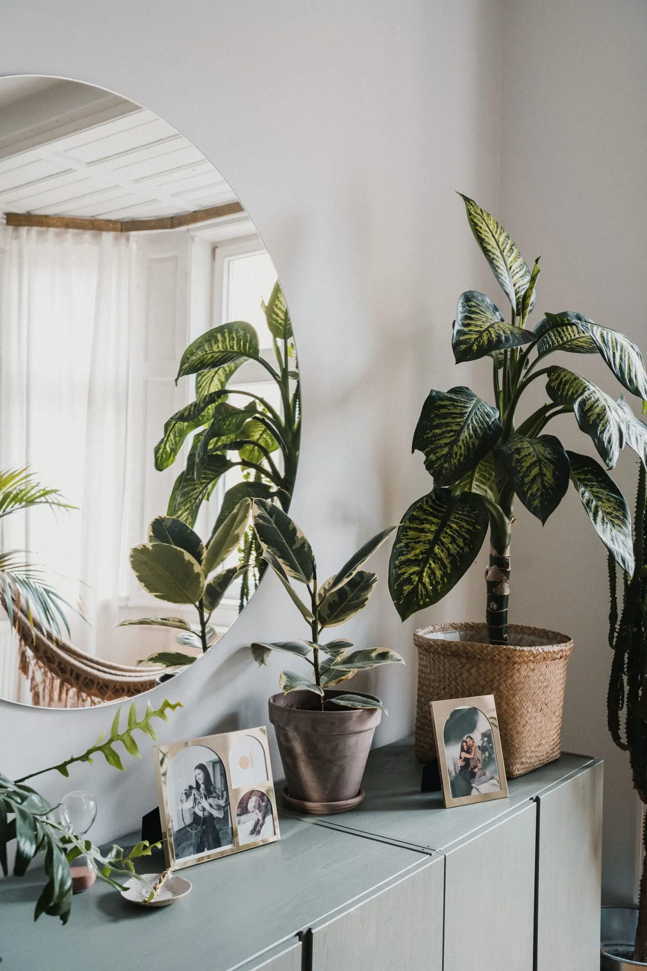 Green_Grey_Living_designalive-4