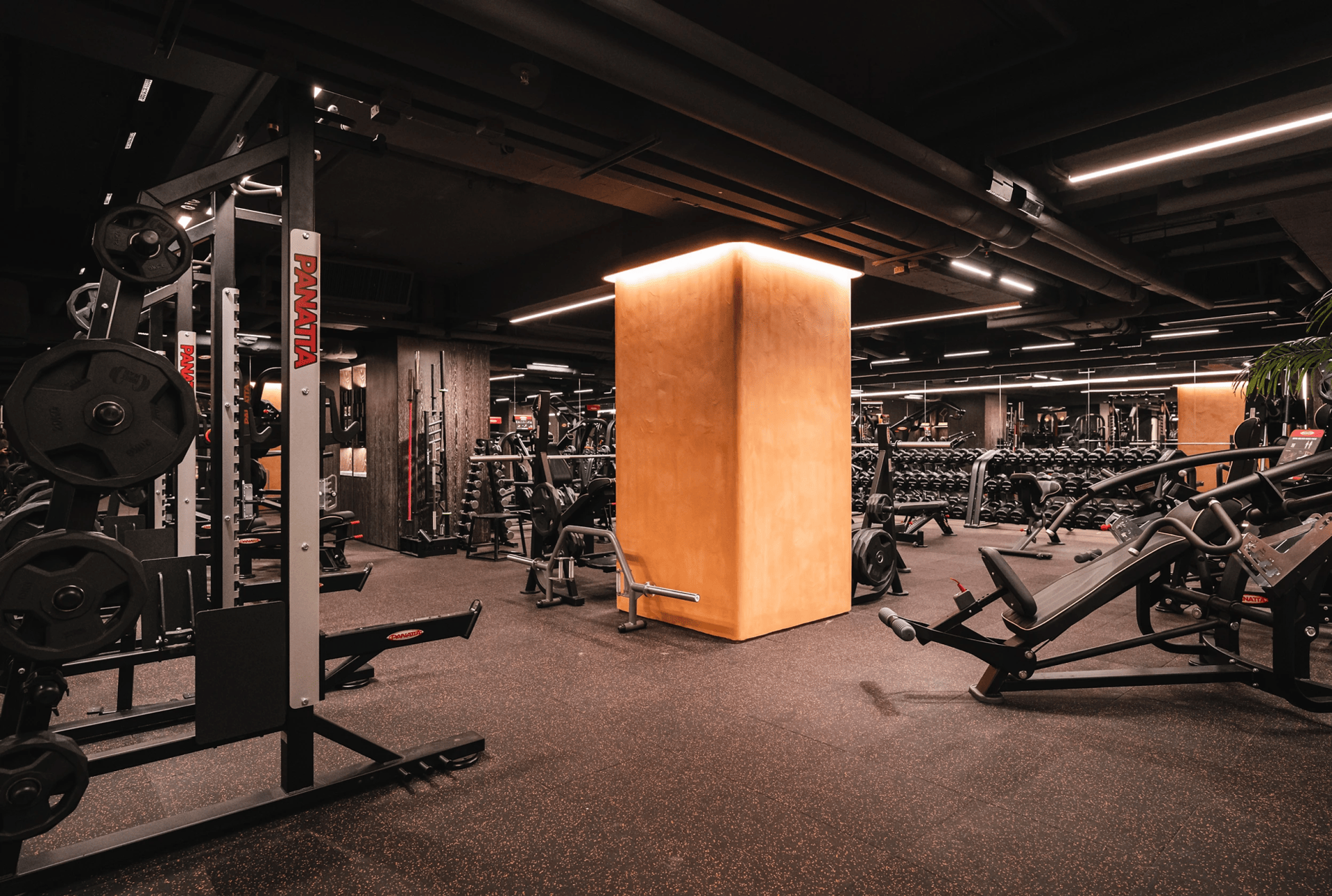 Gym_Town_Hong_Kong_Elon_Musk_Design_Alive_1.jpg