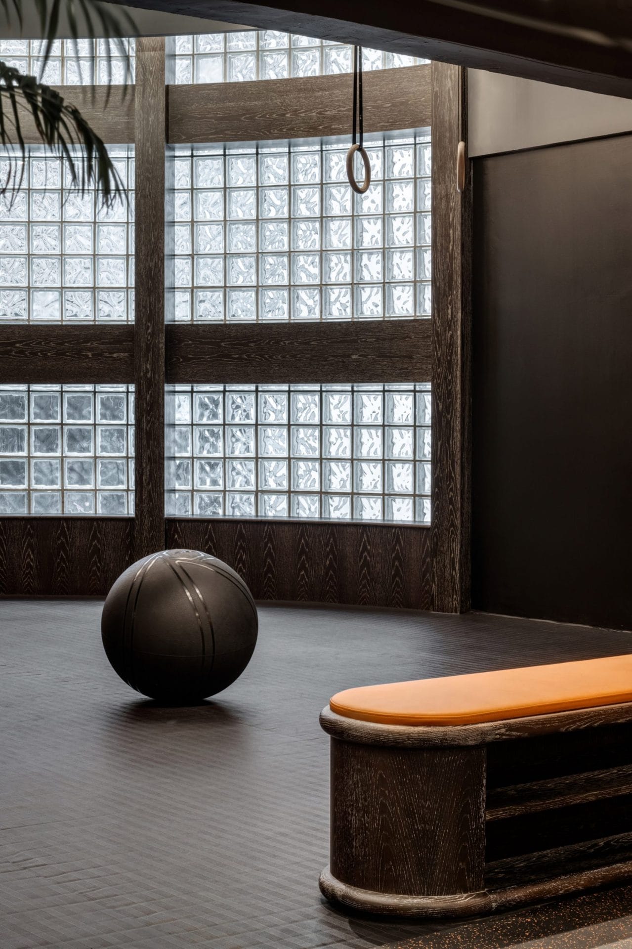 Gym_Town_Hong_Kong_Elon_Musk_Design_Alive_11