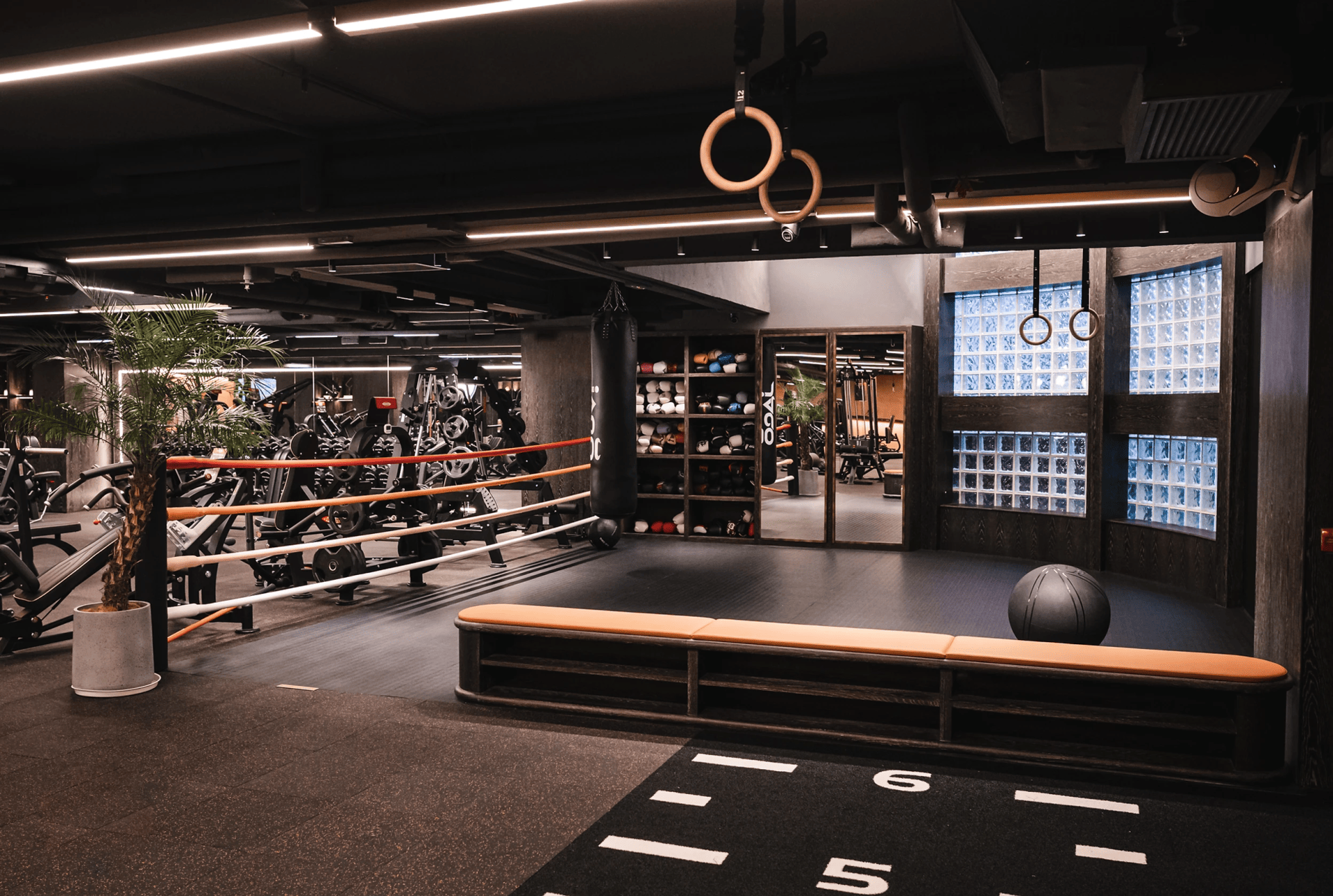 Gym_Town_Hong_Kong_Elon_Musk_Design_Alive_5.jpg