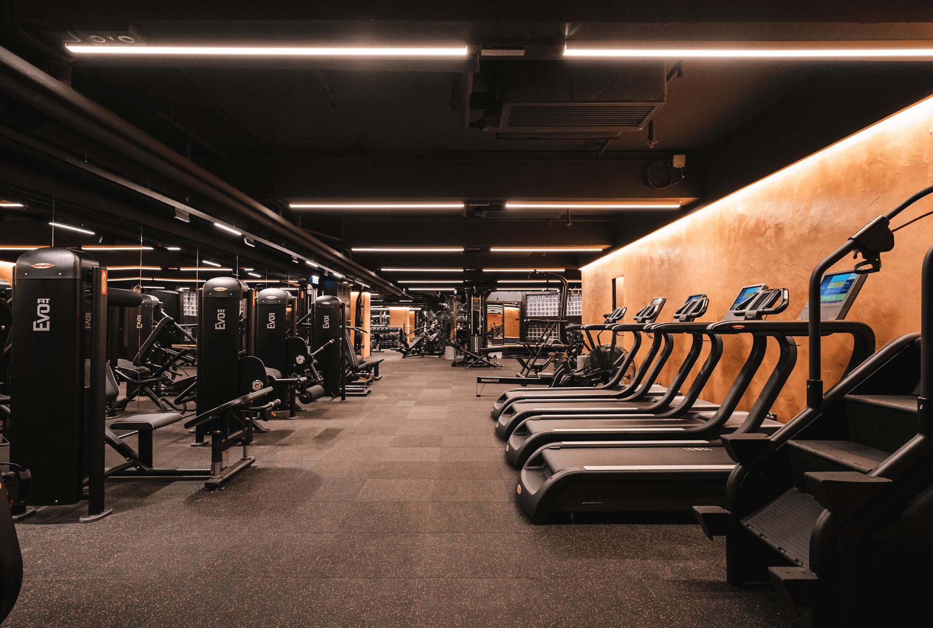 Gym_Town_Hong_Kong_Elon_Musk_Design_Alive_6.jpg