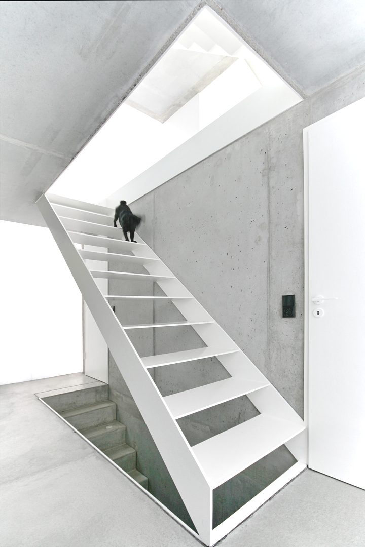 hausf_designalive8