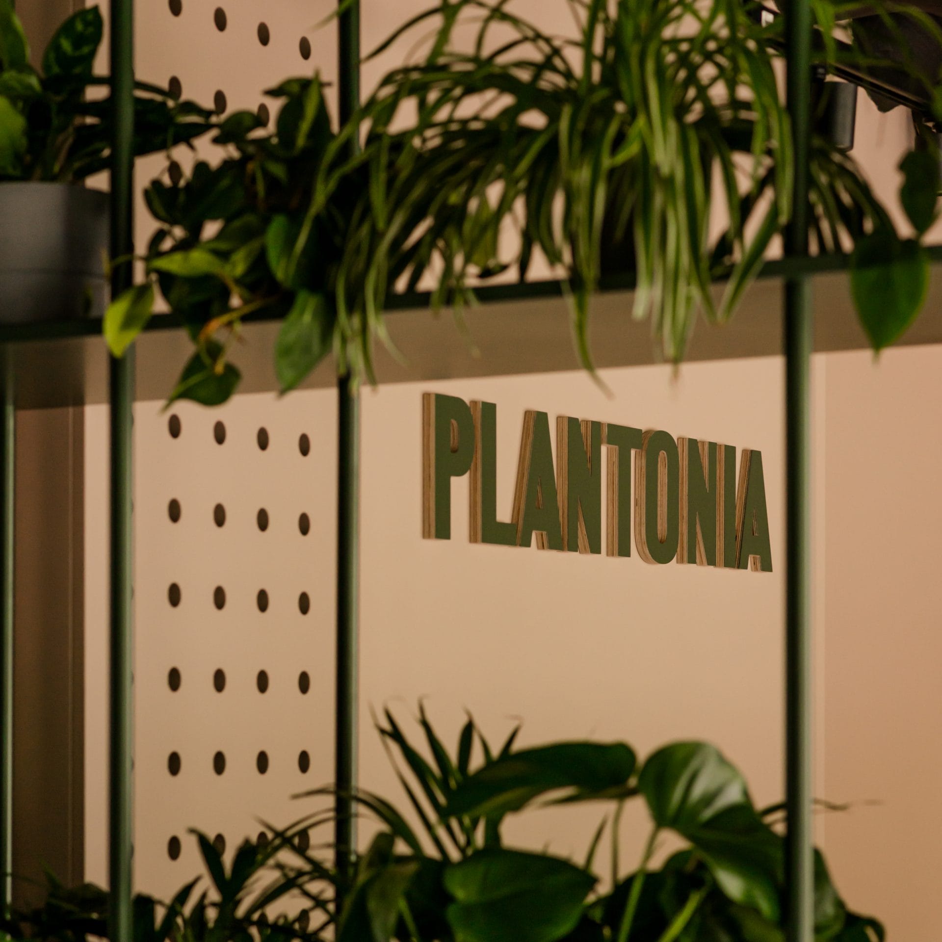 Plantonia_2215-1_hotel_Platonia