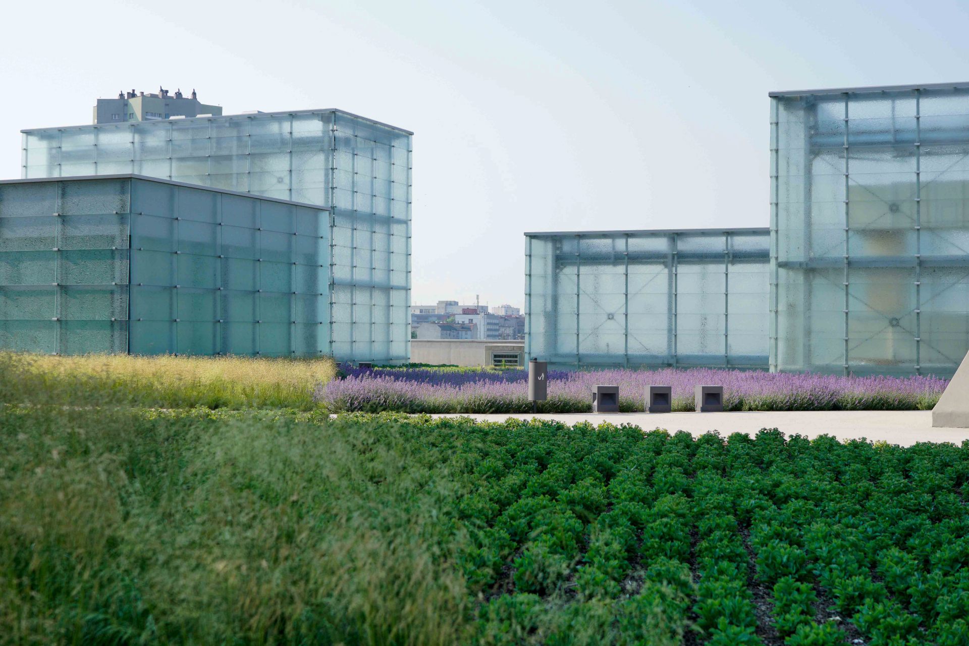 katowice_designalive-5