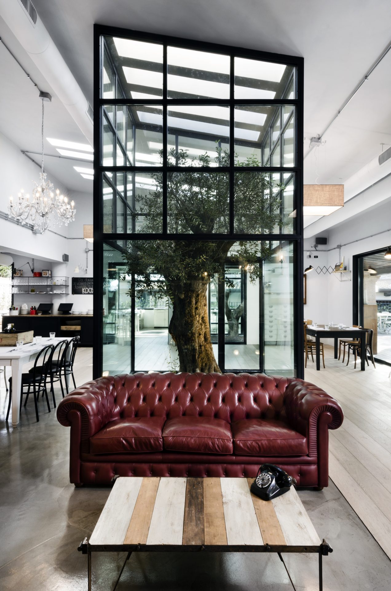 kook_rzym-designalive7