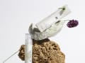 krayna_veg_designalive-2