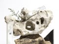 krayna_veg_designalive-3
