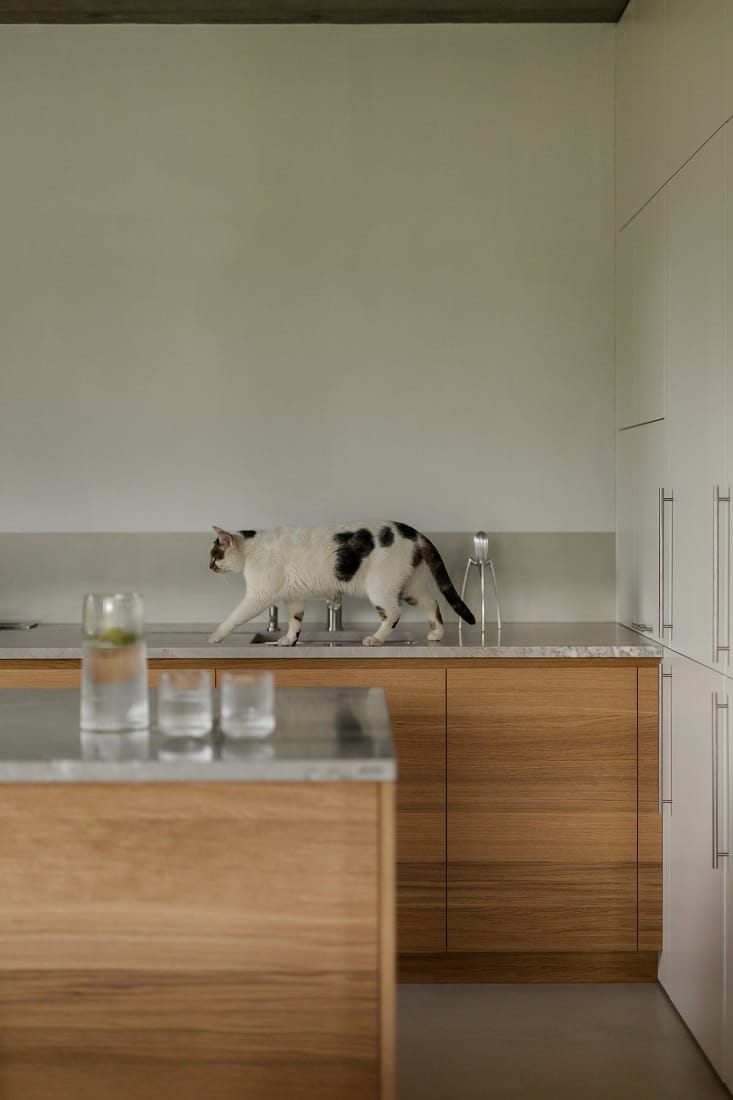 Kubieniec-Dlugosz_designalive-10