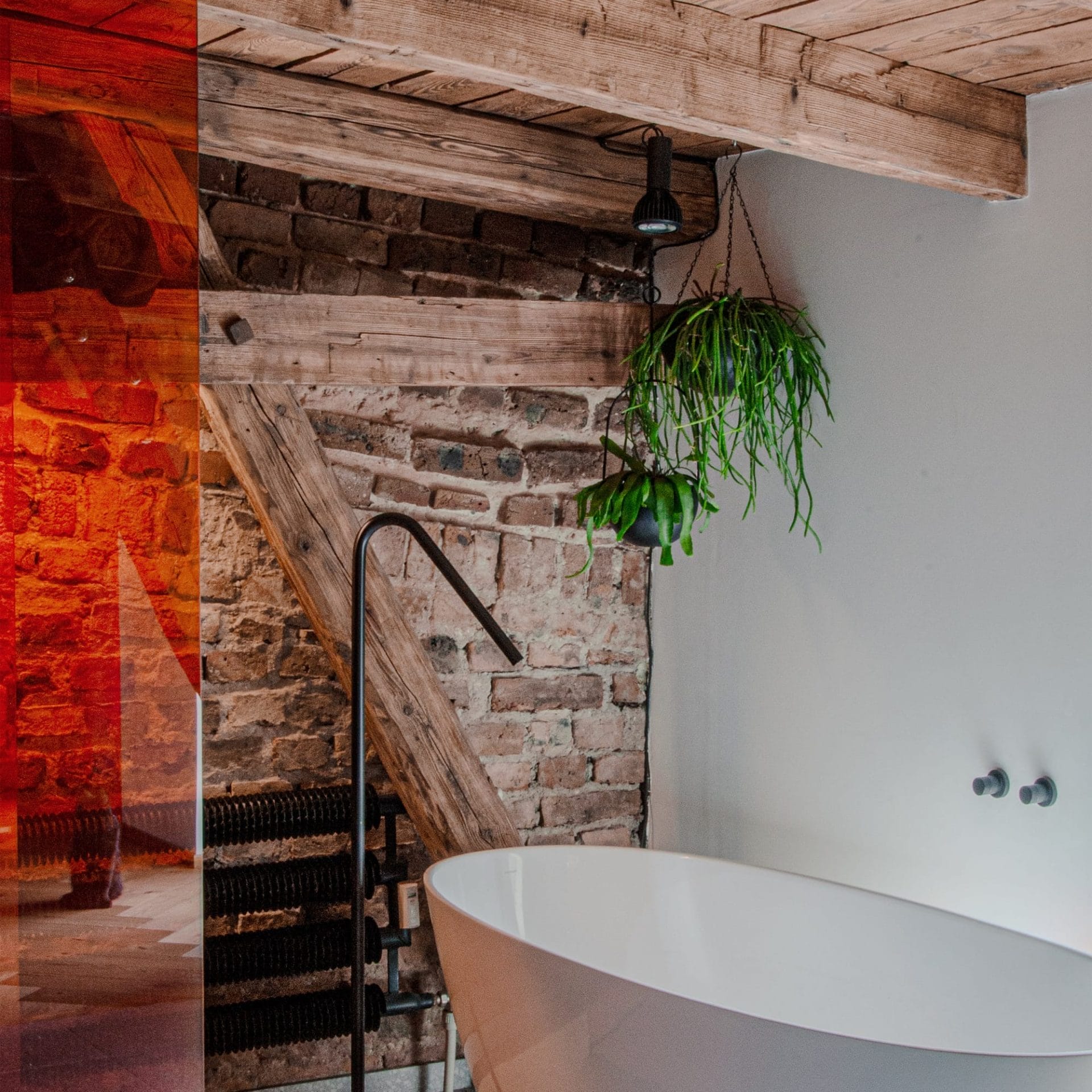 layer_ral2004_designalive-13