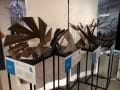 alodzdesign_designalive-30