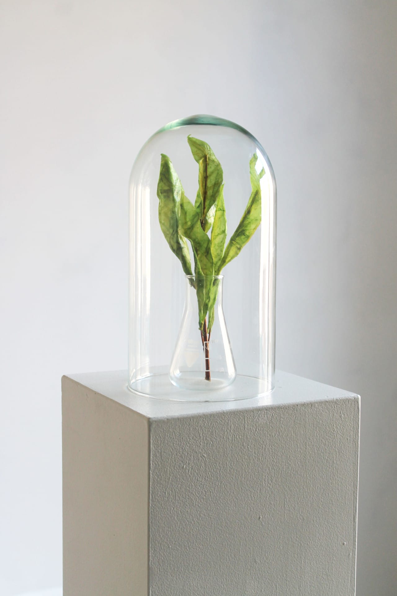 1_make_me_designalive-13