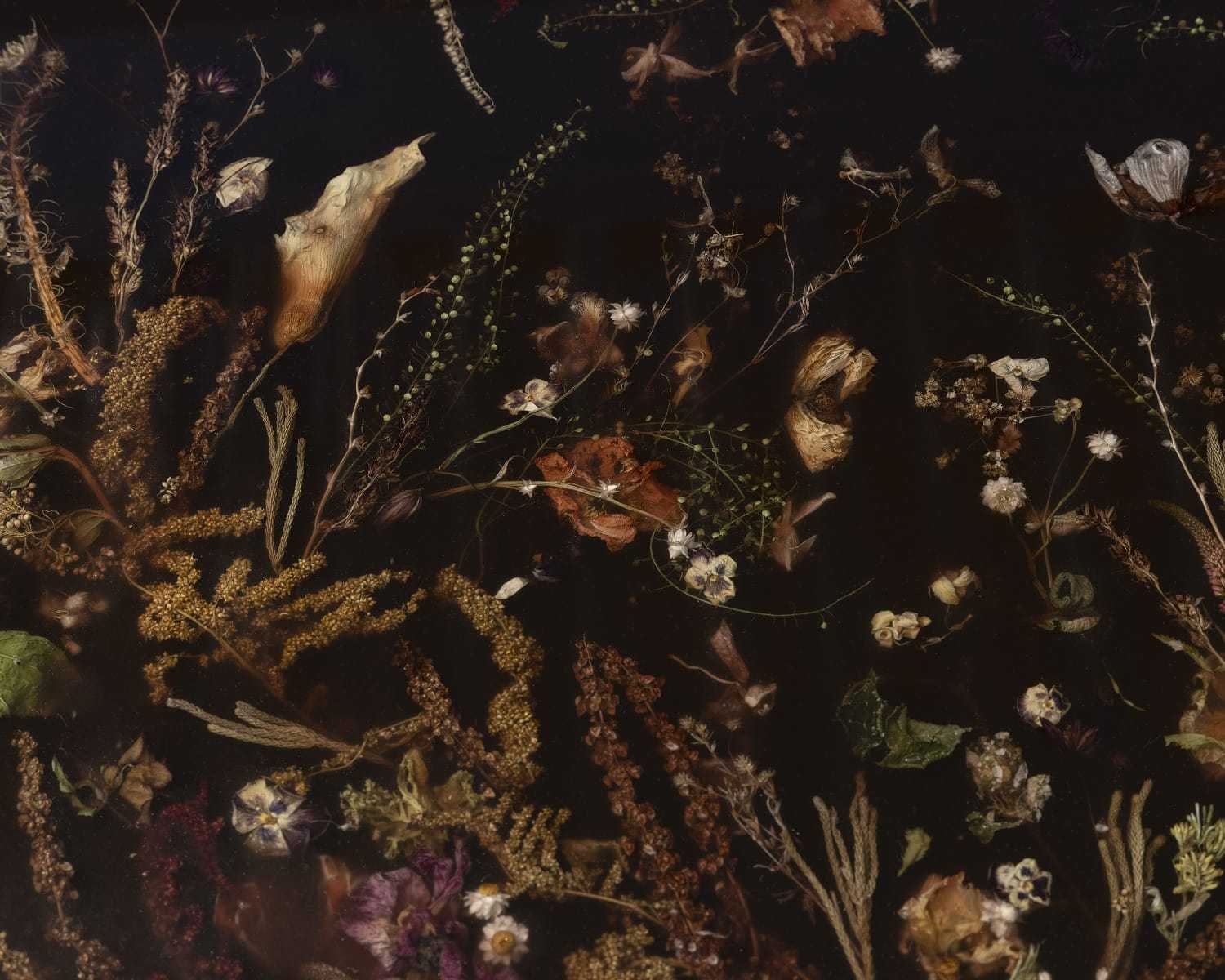marcin_rusak_vas_florum_exh_designalive-2