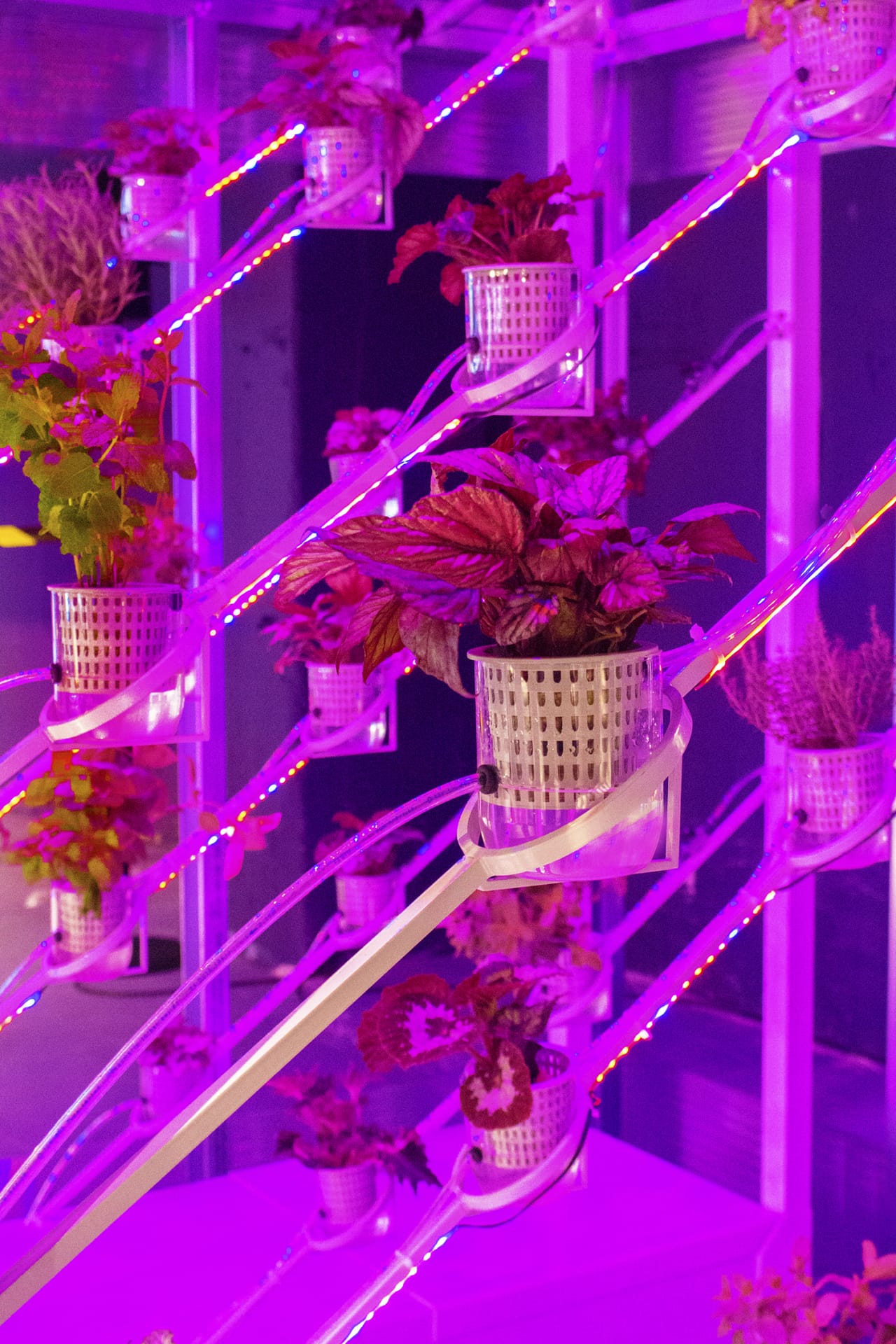 Marjan_van_Aubel_designalive-12