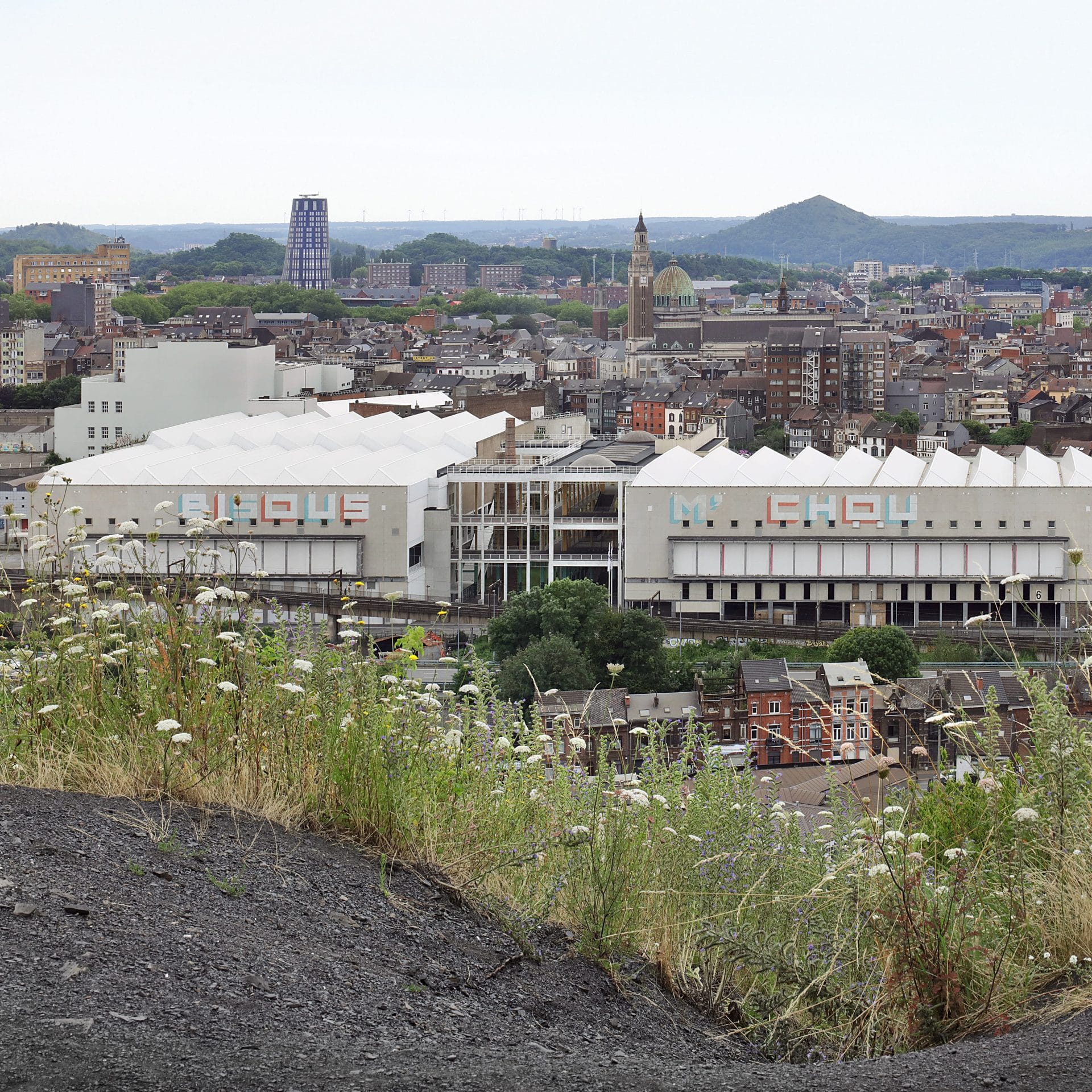 mvdr26_main_designalive-1