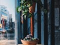 mora_bistro_gal_designalive-7