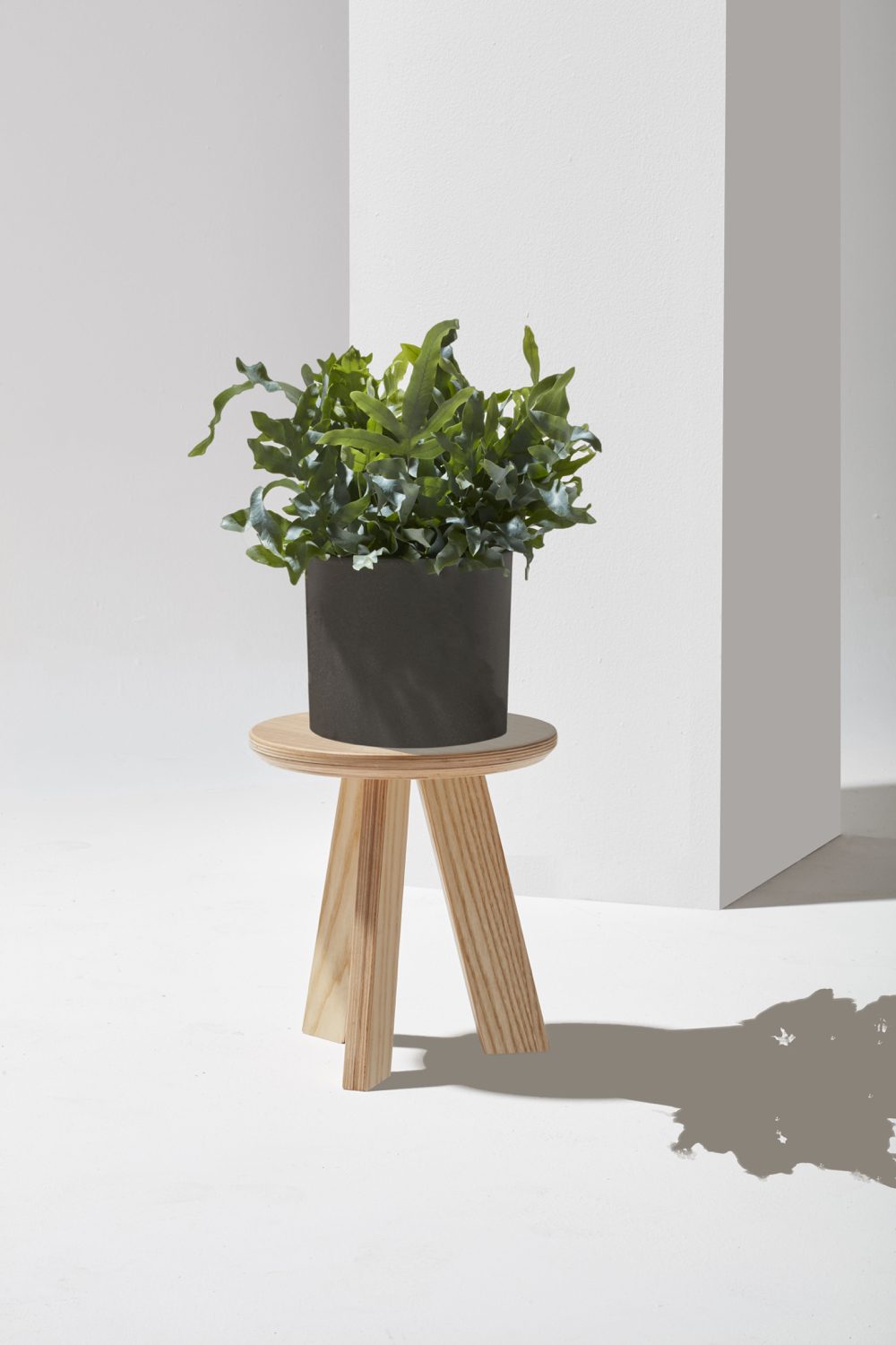 nudo_designalive-2