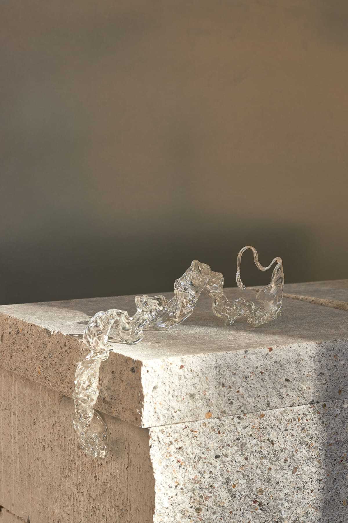 palisiepiekno_designalive-10 palisiepiekno_designalive-10