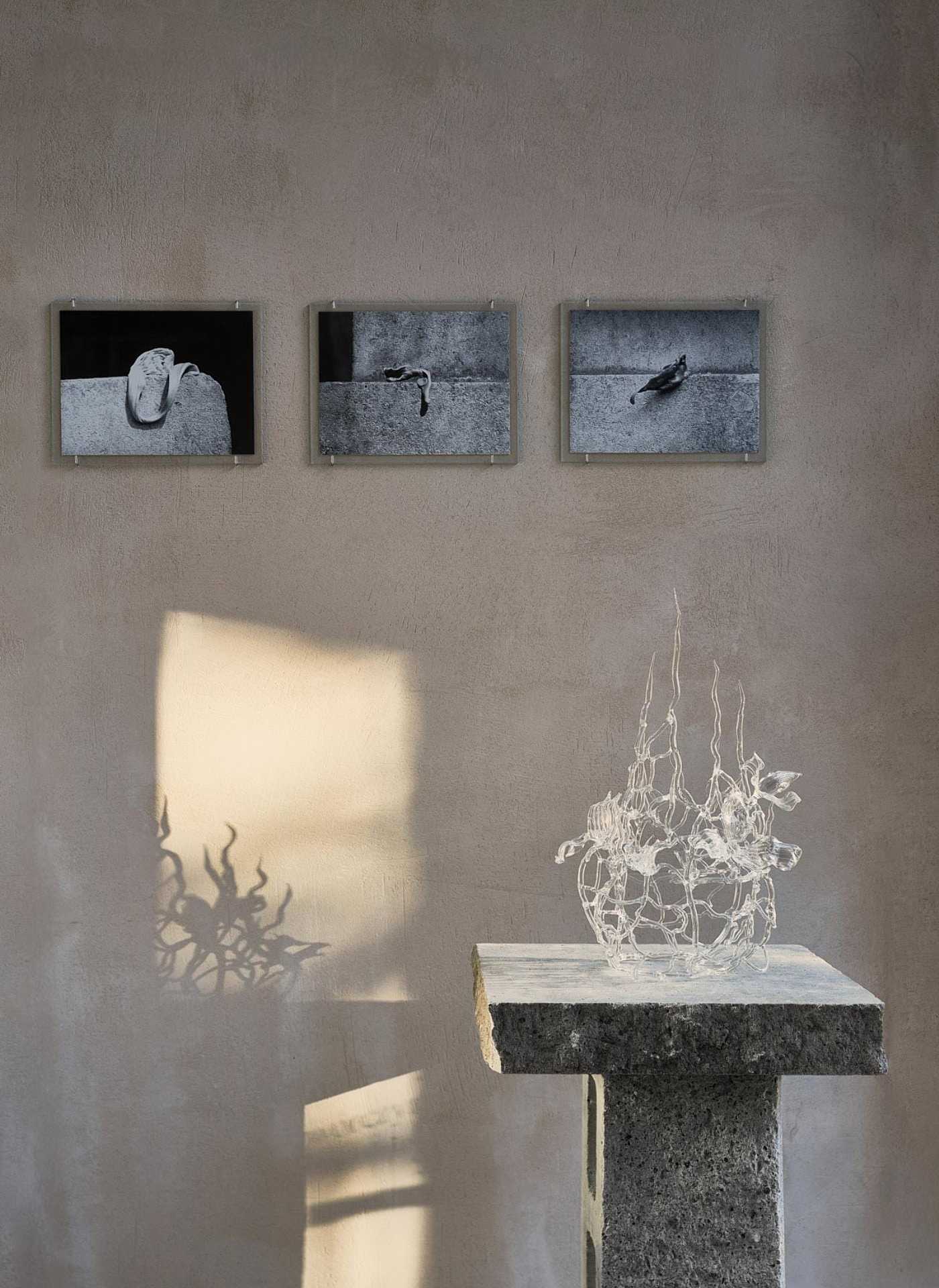 palisiepiekno_designalive-12 palisiepiekno_designalive-12