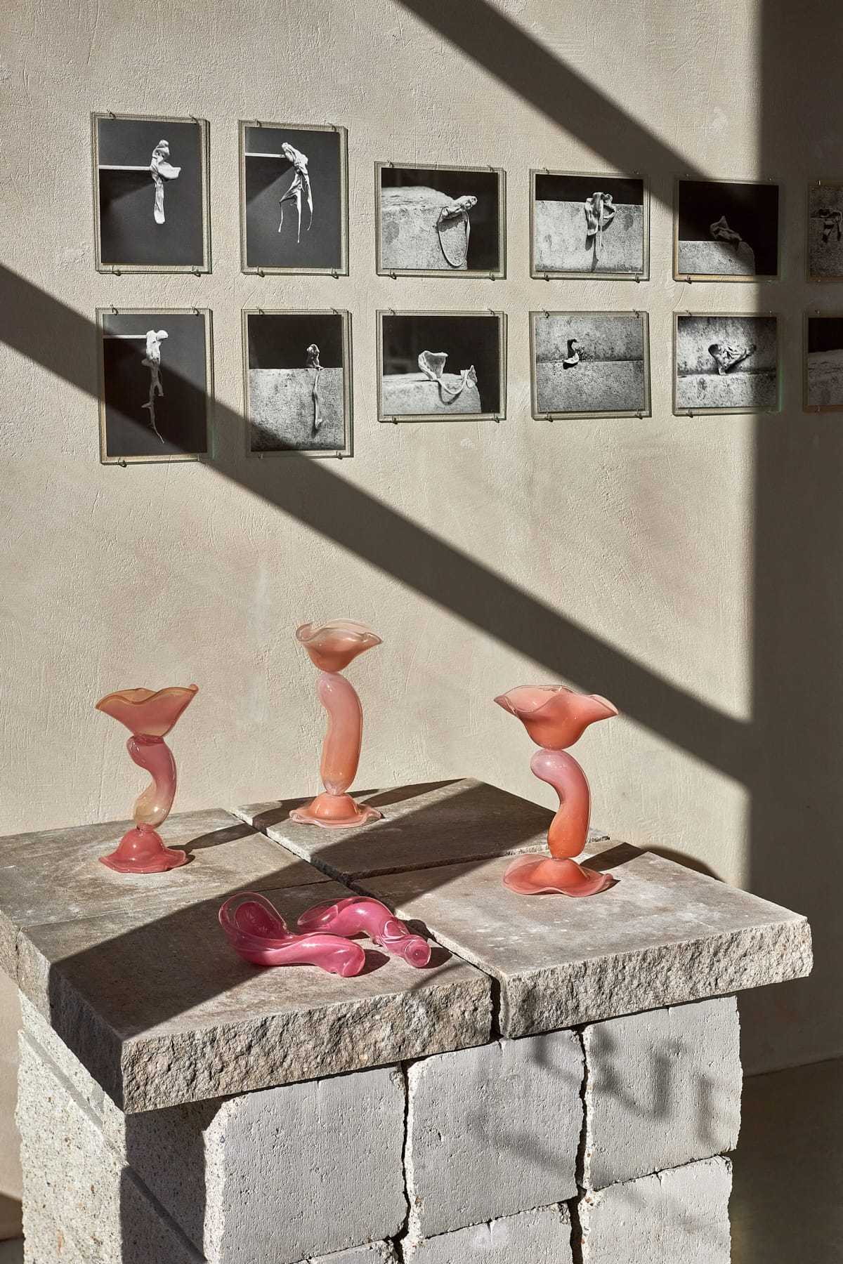 palisiepiekno_designalive-6 palisiepiekno_designalive-6