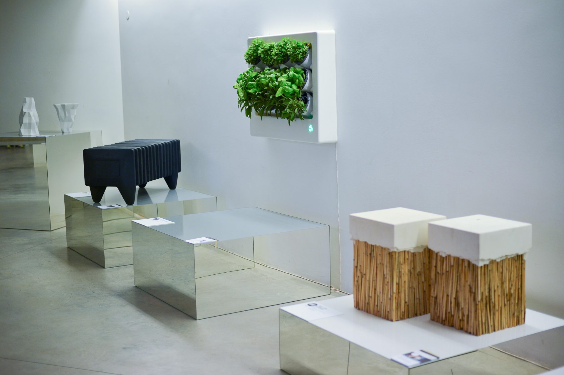 polish_job_designalive-12